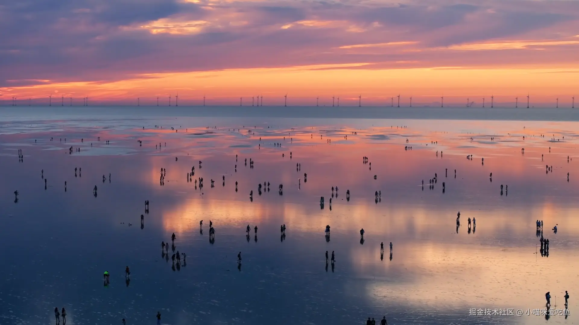 小喵咪爱吃鱼于2024-08-24 09:14发布的图片