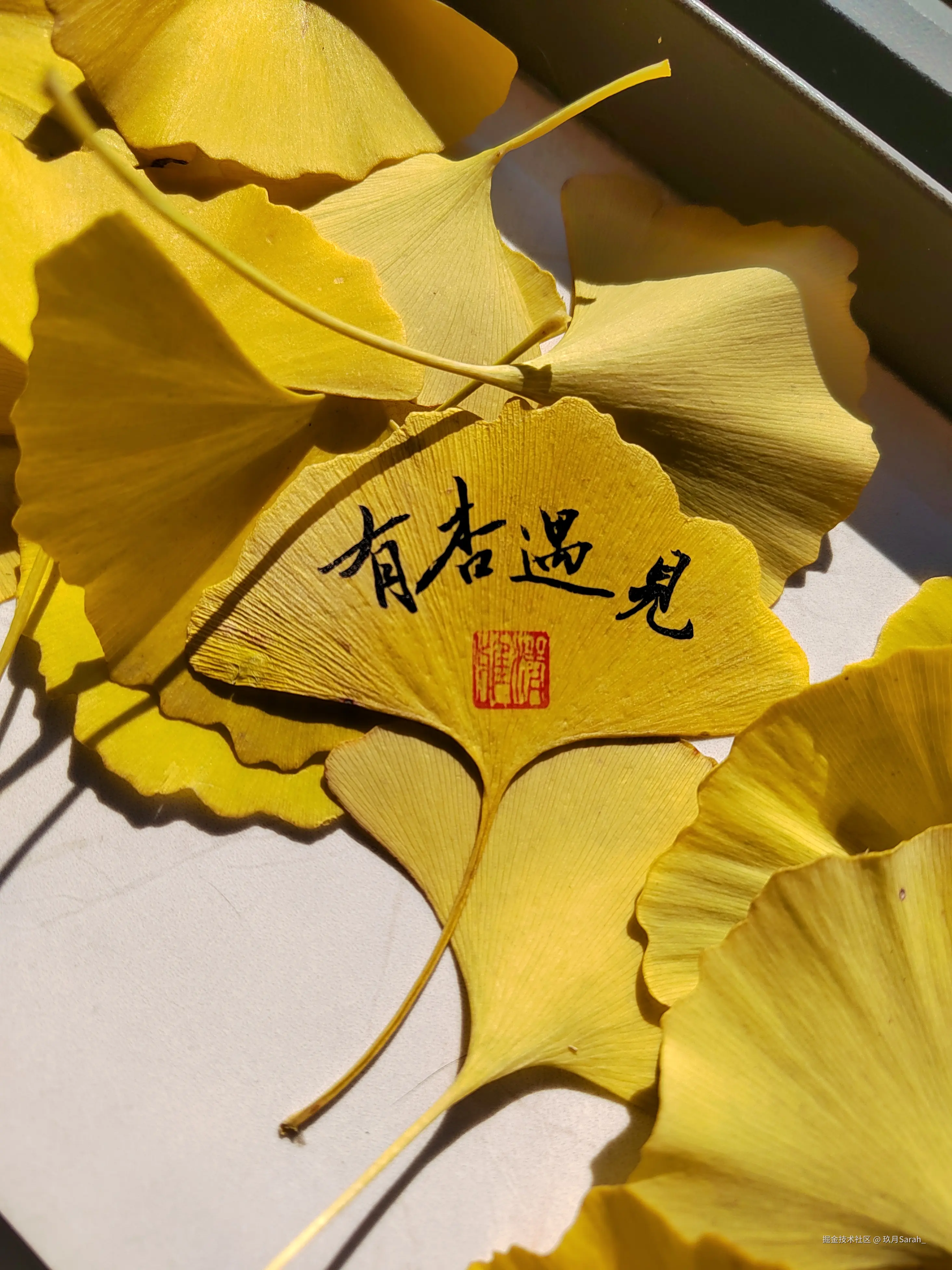 玖月Sarah_于2024-12-03 09:01发布的图片