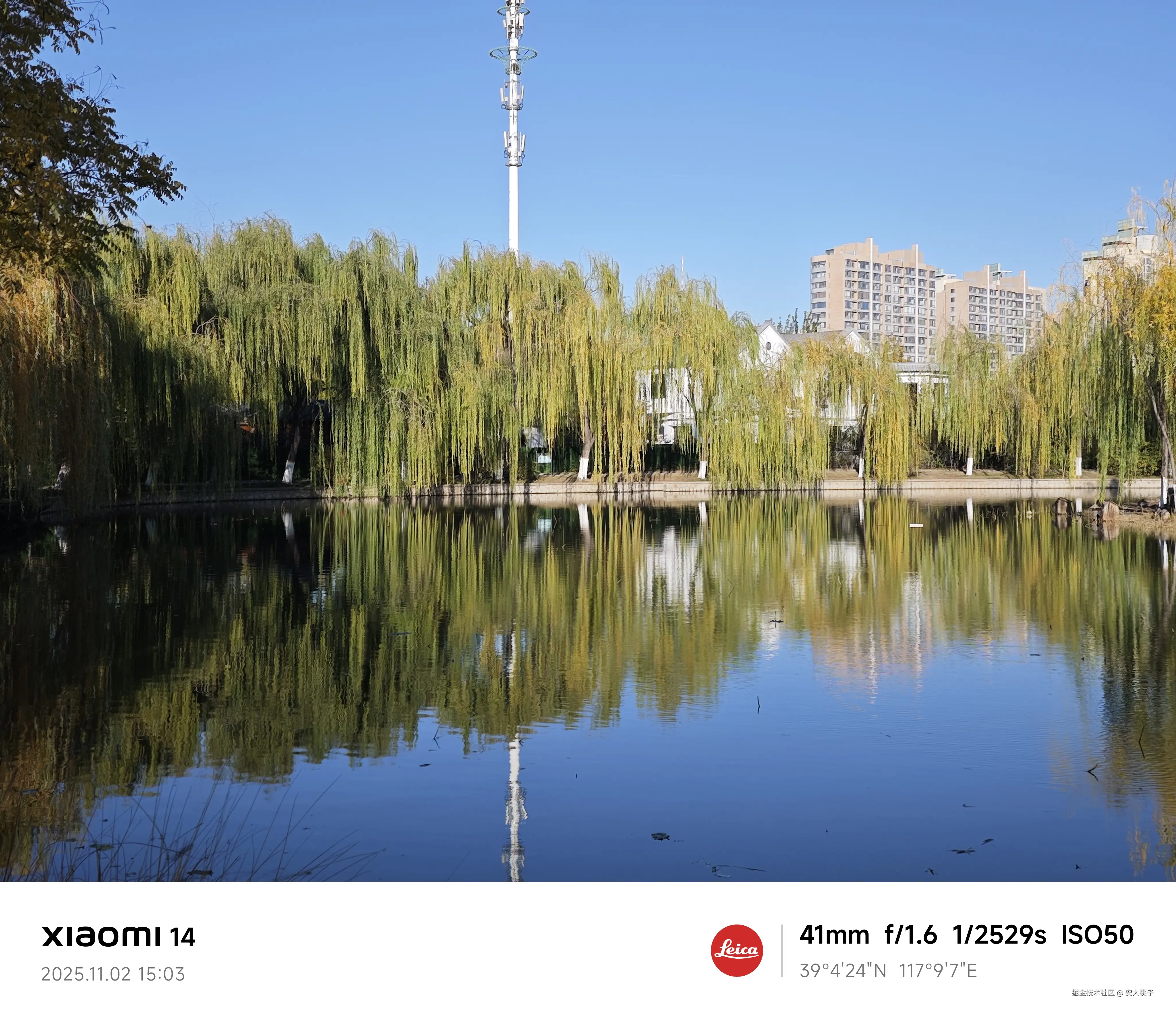 安大桃子于2025-11-02 16:48发布的图片