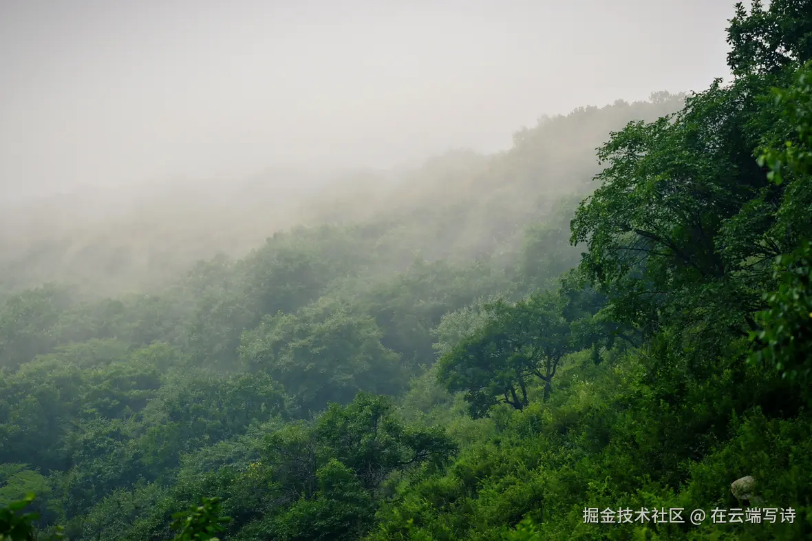 在云端写诗于2025-08-04 02:49发布的图片
