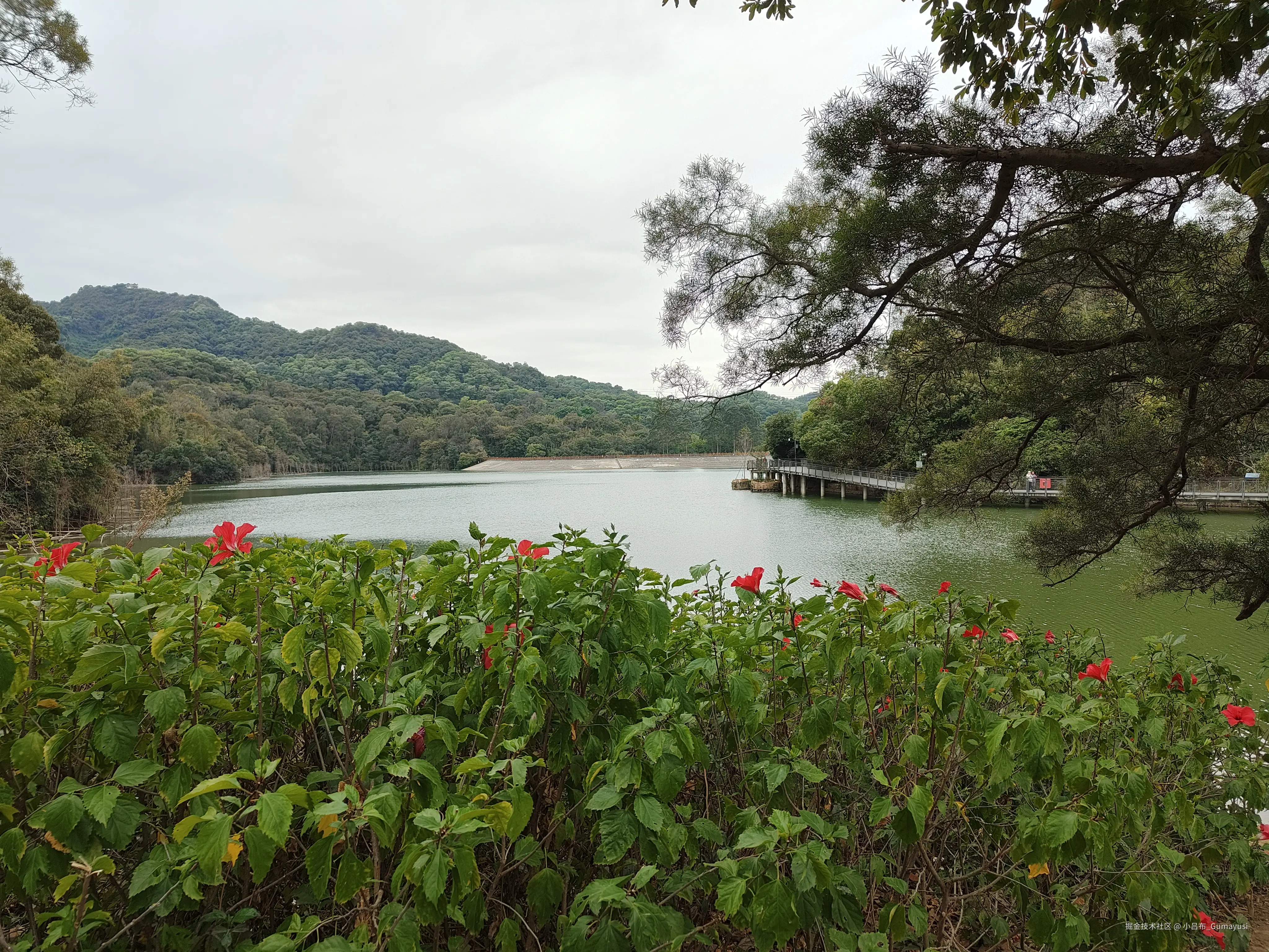 小吕布_Gumayusi于2025-02-24 09:56发布的图片