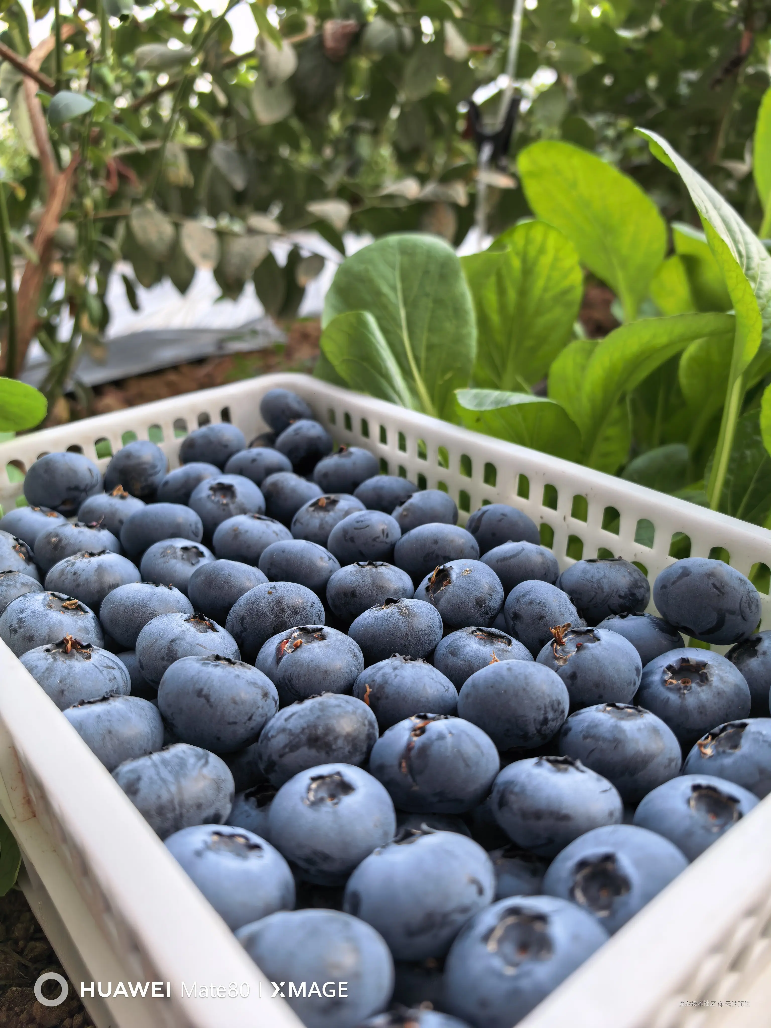 云往而生于2026-02-26 17:15发布的图片