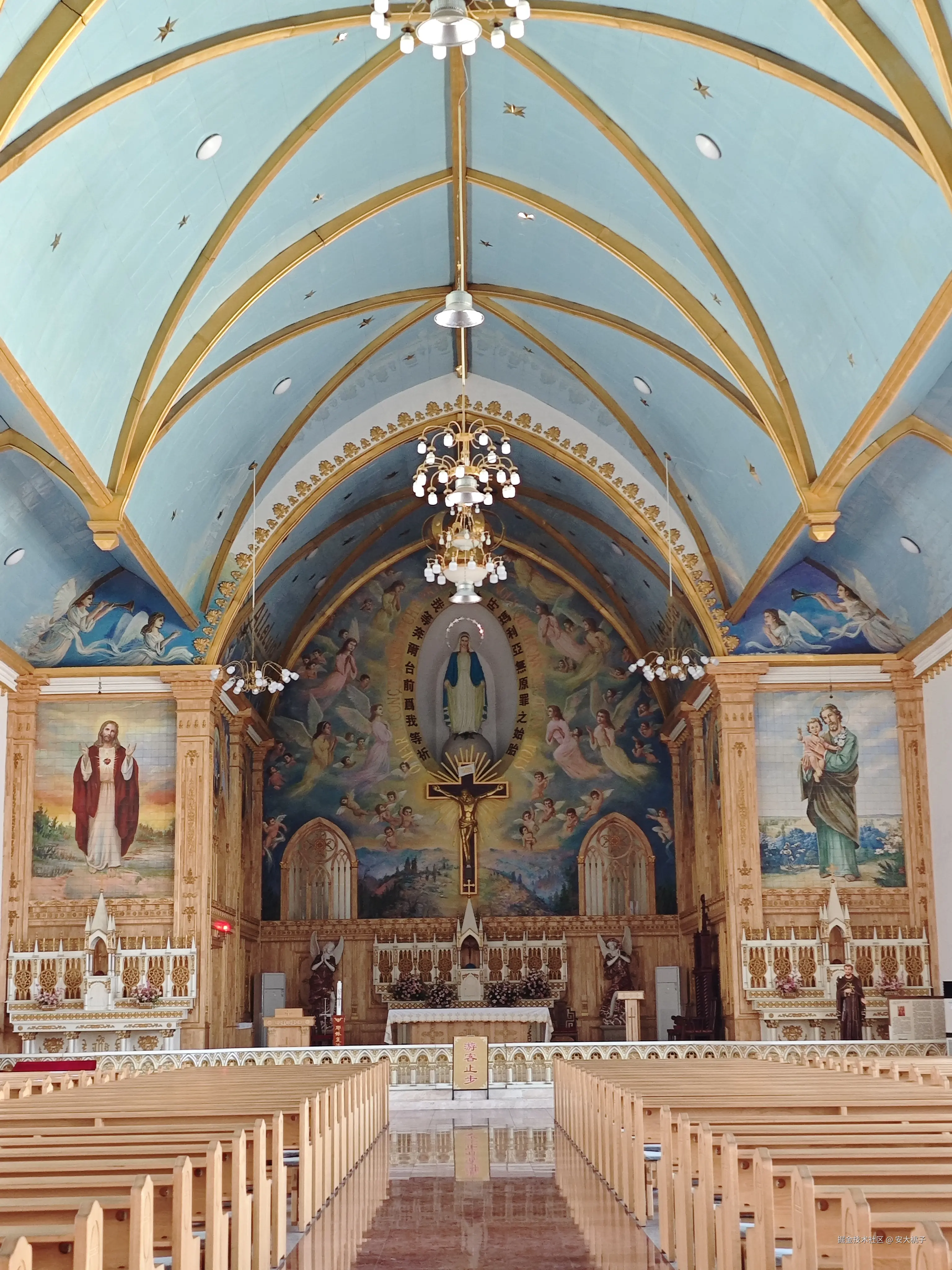 安大桃子于2026-04-06 21:12发布的图片