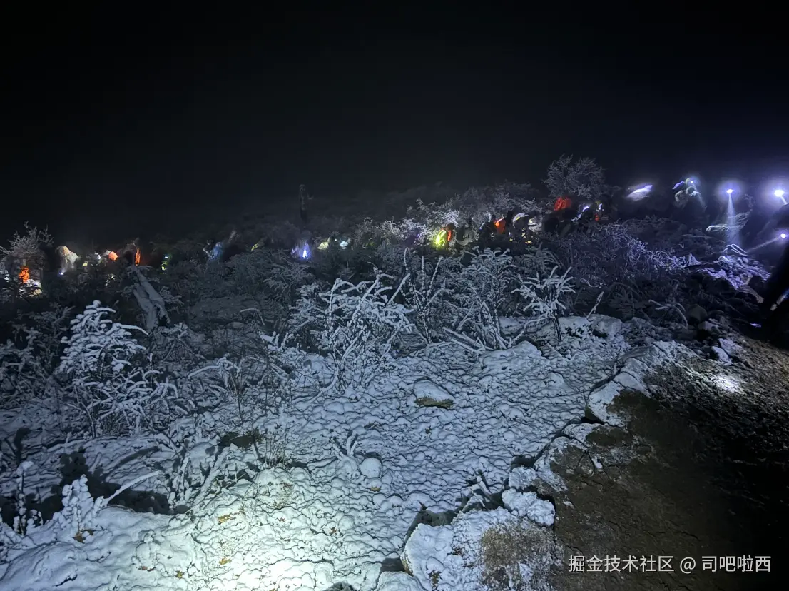 司吧啦西于2024-11-18 13:59发布的图片