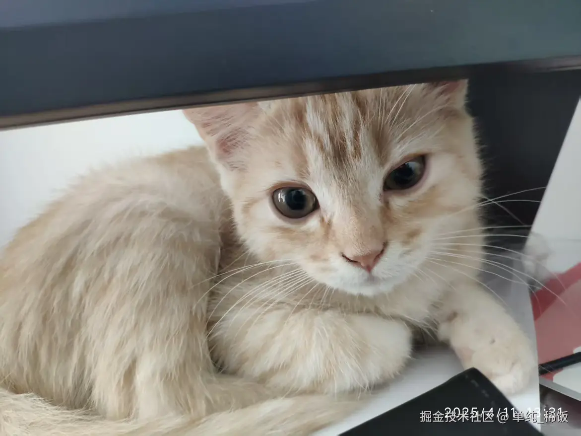 单纯_稀饭于2025-04-11 15:02发布的图片