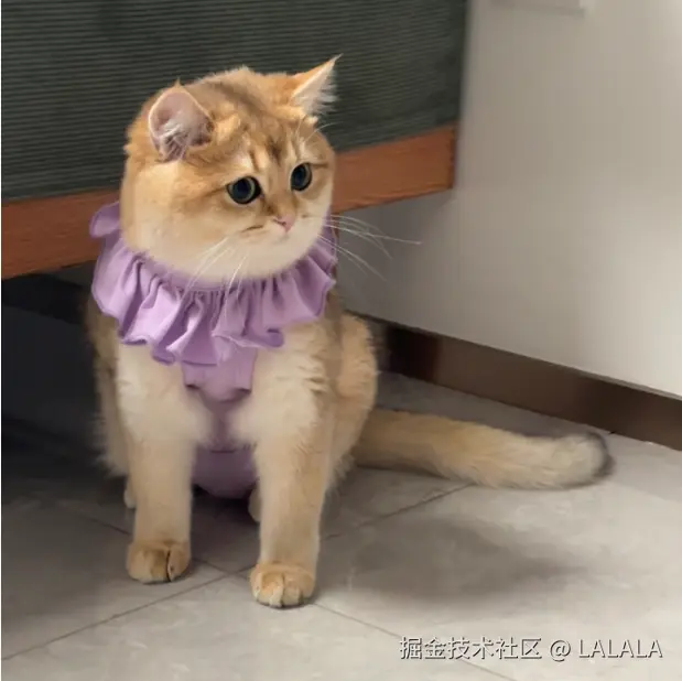 LALALA于2026-02-10 13:48发布的图片