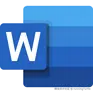 Word进阶