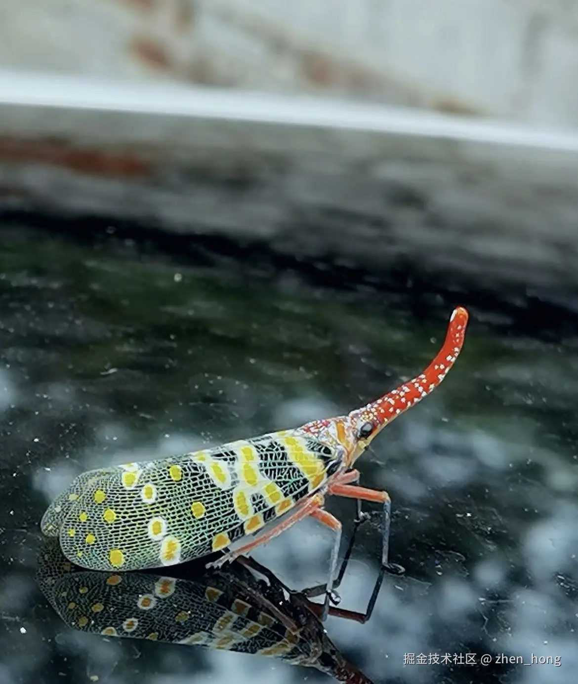 zhen_hong于2024-10-10 14:31发布的图片