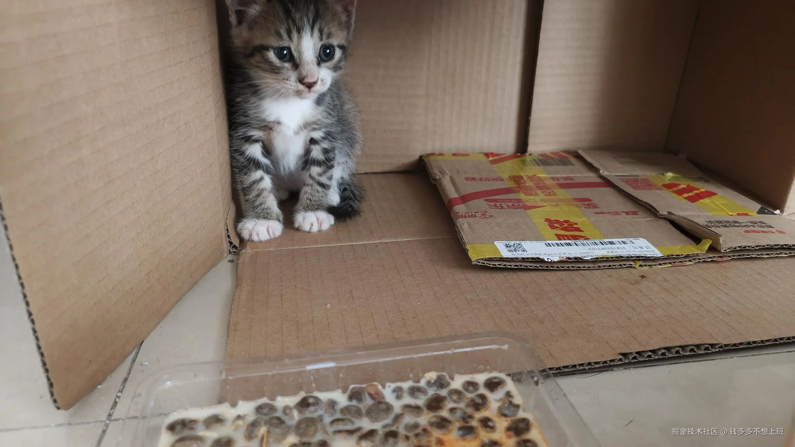 钱多多不想上班于2025-05-19 09:44发布的图片