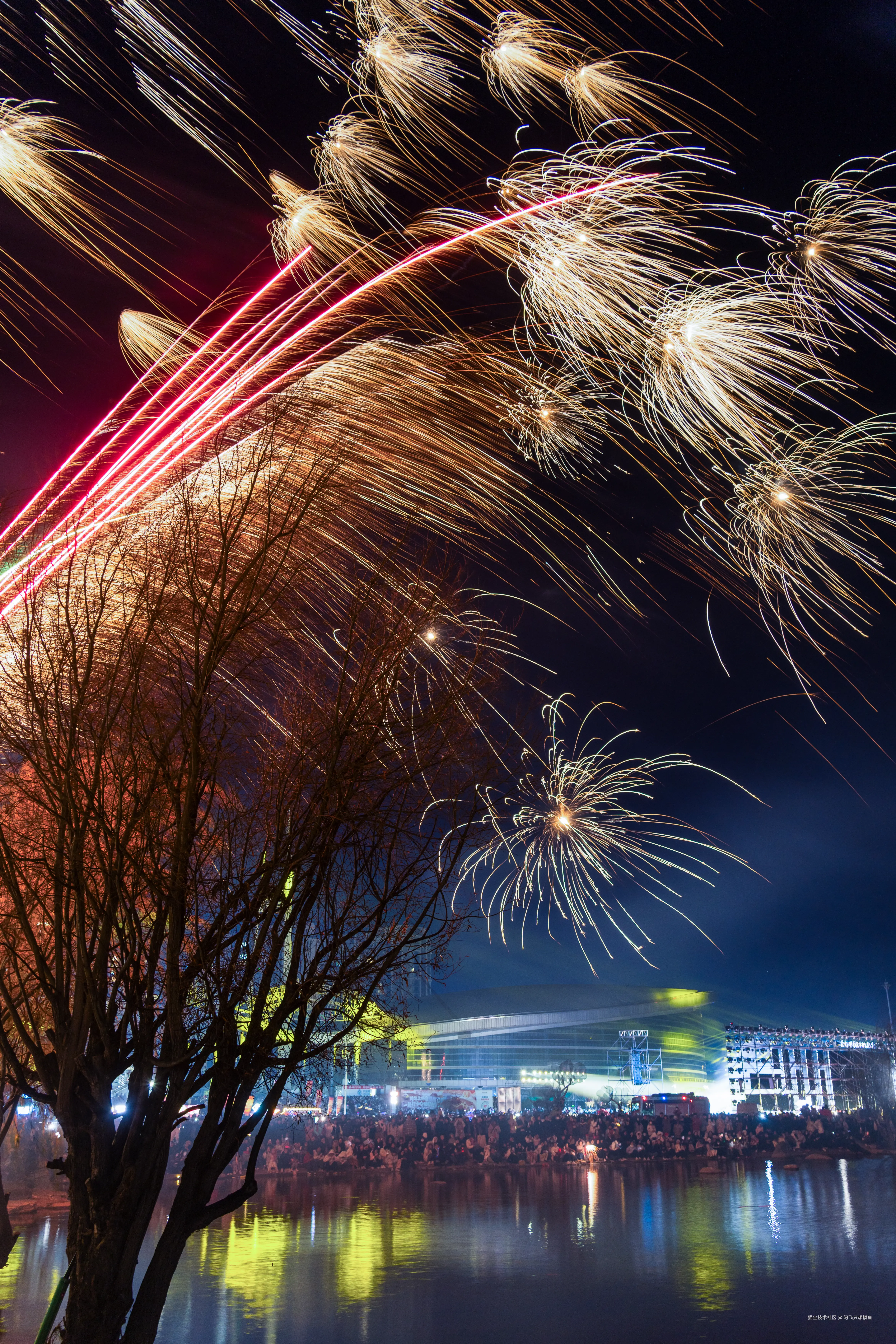 阿飞只想摸鱼于2026-02-11 14:43发布的图片