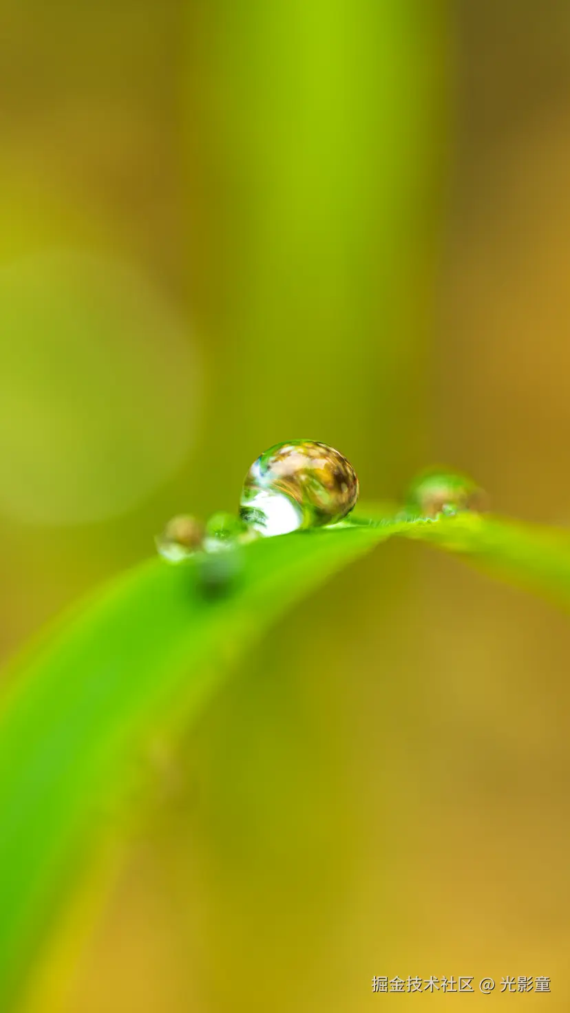 光影童于2025-08-06 09:16发布的图片