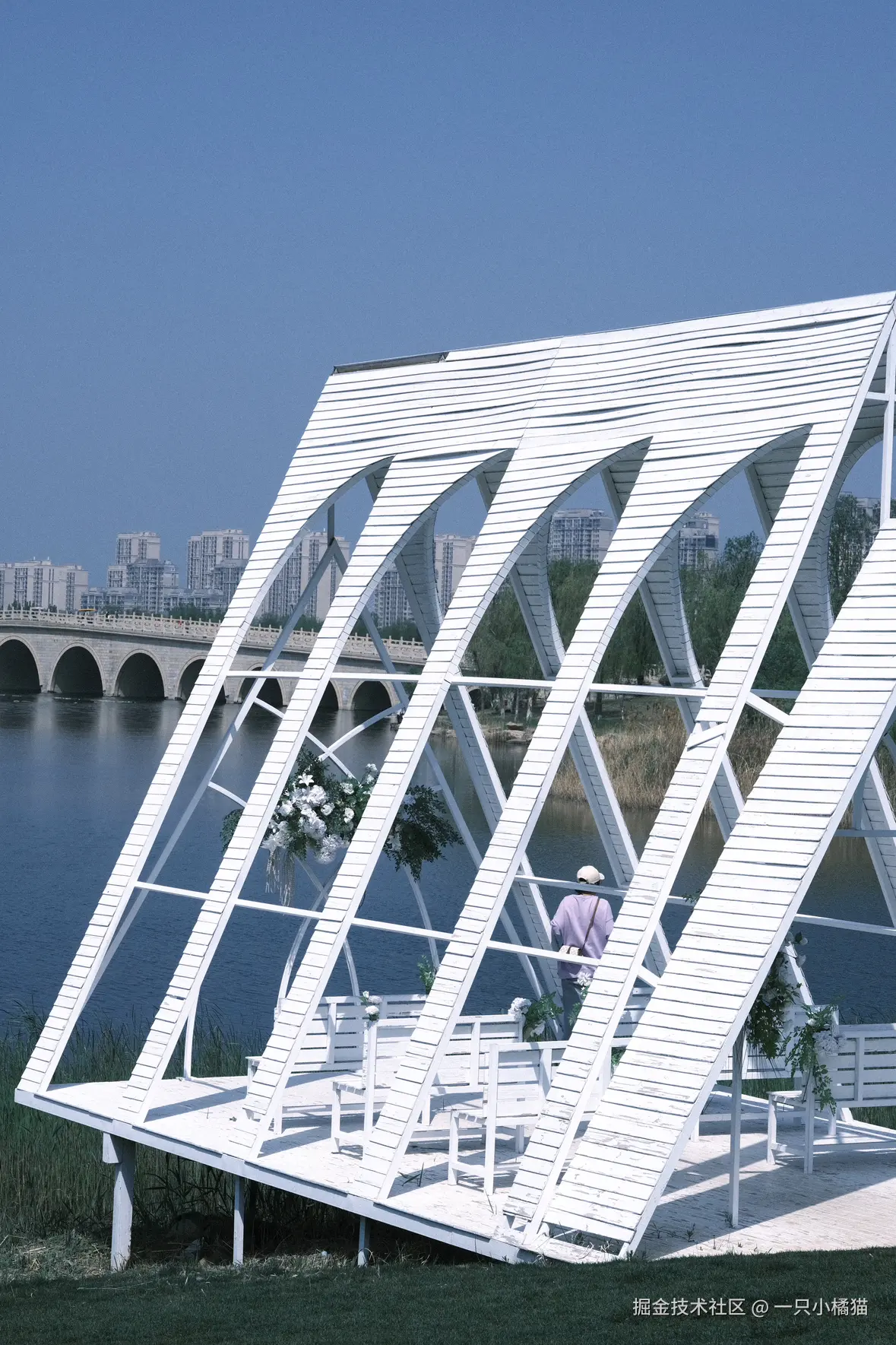 一只小橘猫于2025-04-21 11:16发布的图片