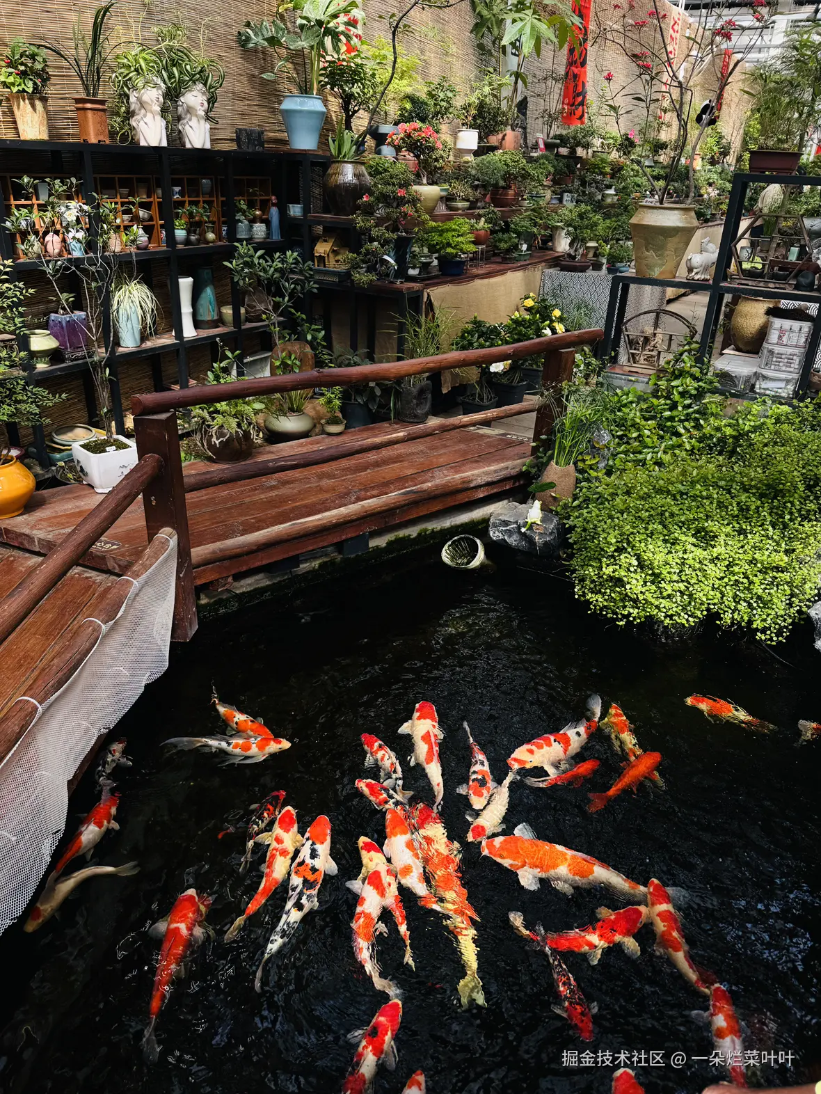 一朵烂菜叶叶于2025-04-28 09:28发布的图片