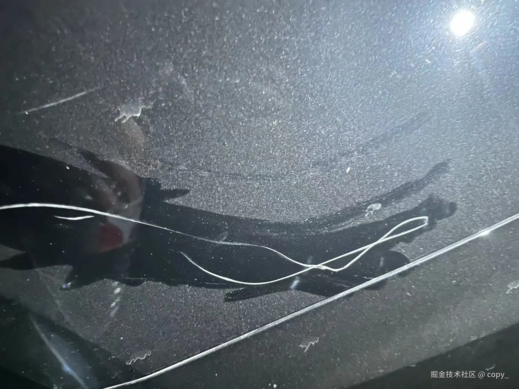 copy_于2024-07-25 17:18发布的图片