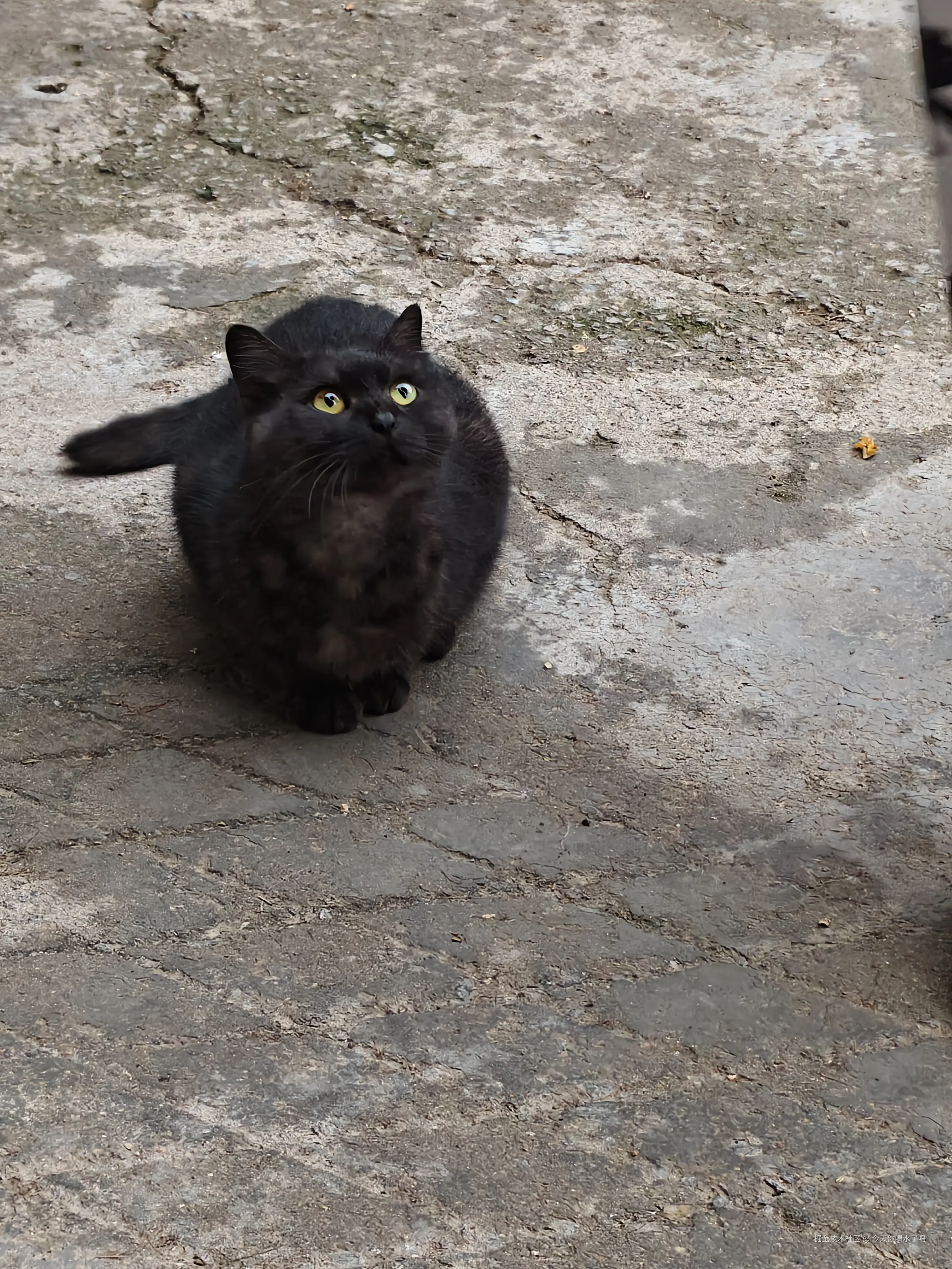 今天你喝水了吗于2025-10-10 12:00发布的图片