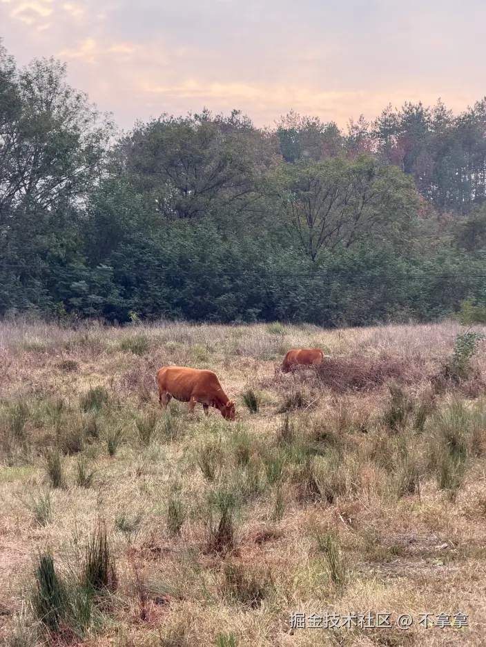 不拿拿于2025-11-04 15:20发布的图片