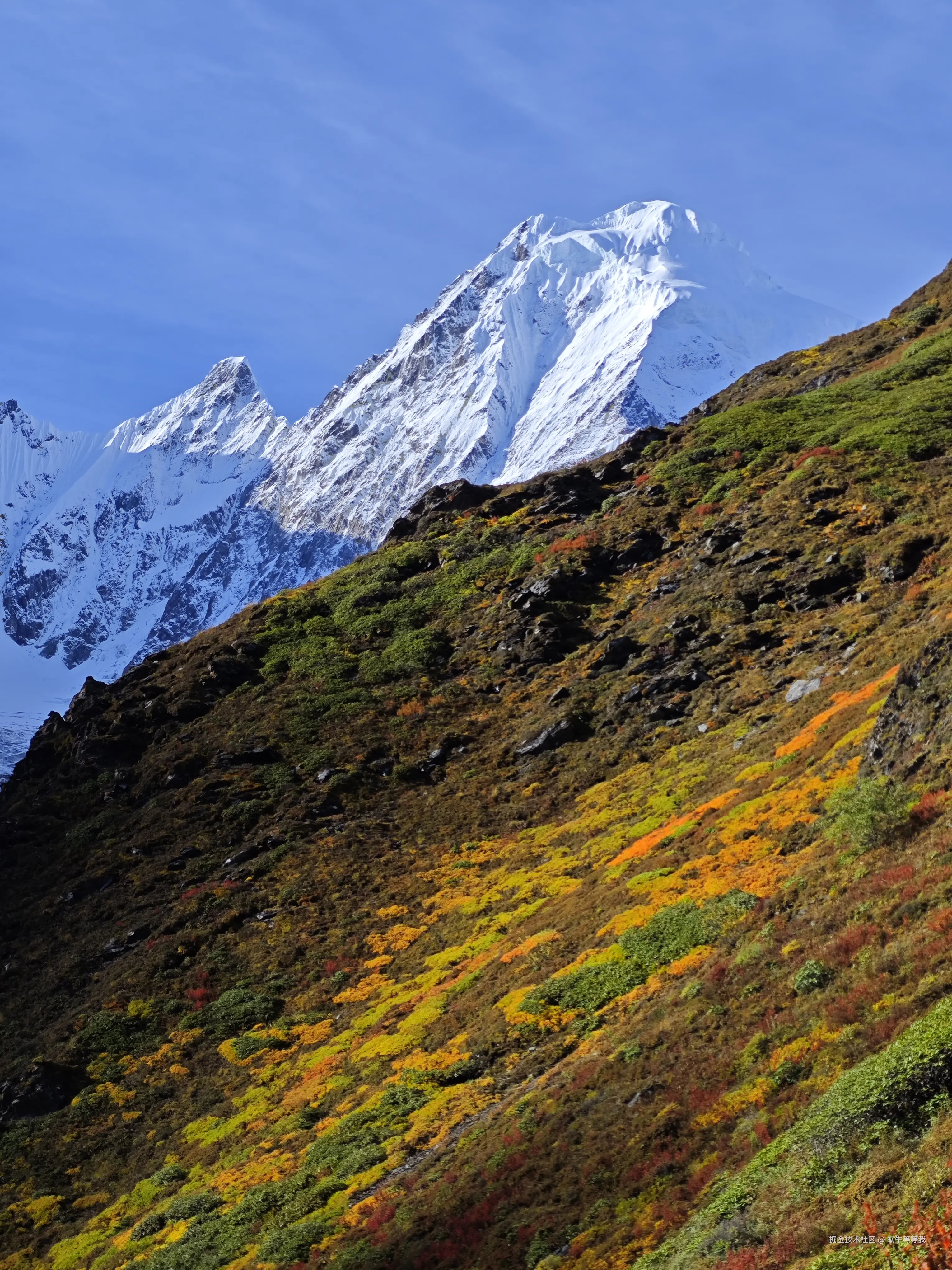 蜗牛等等我于2025-10-09 09:03发布的图片