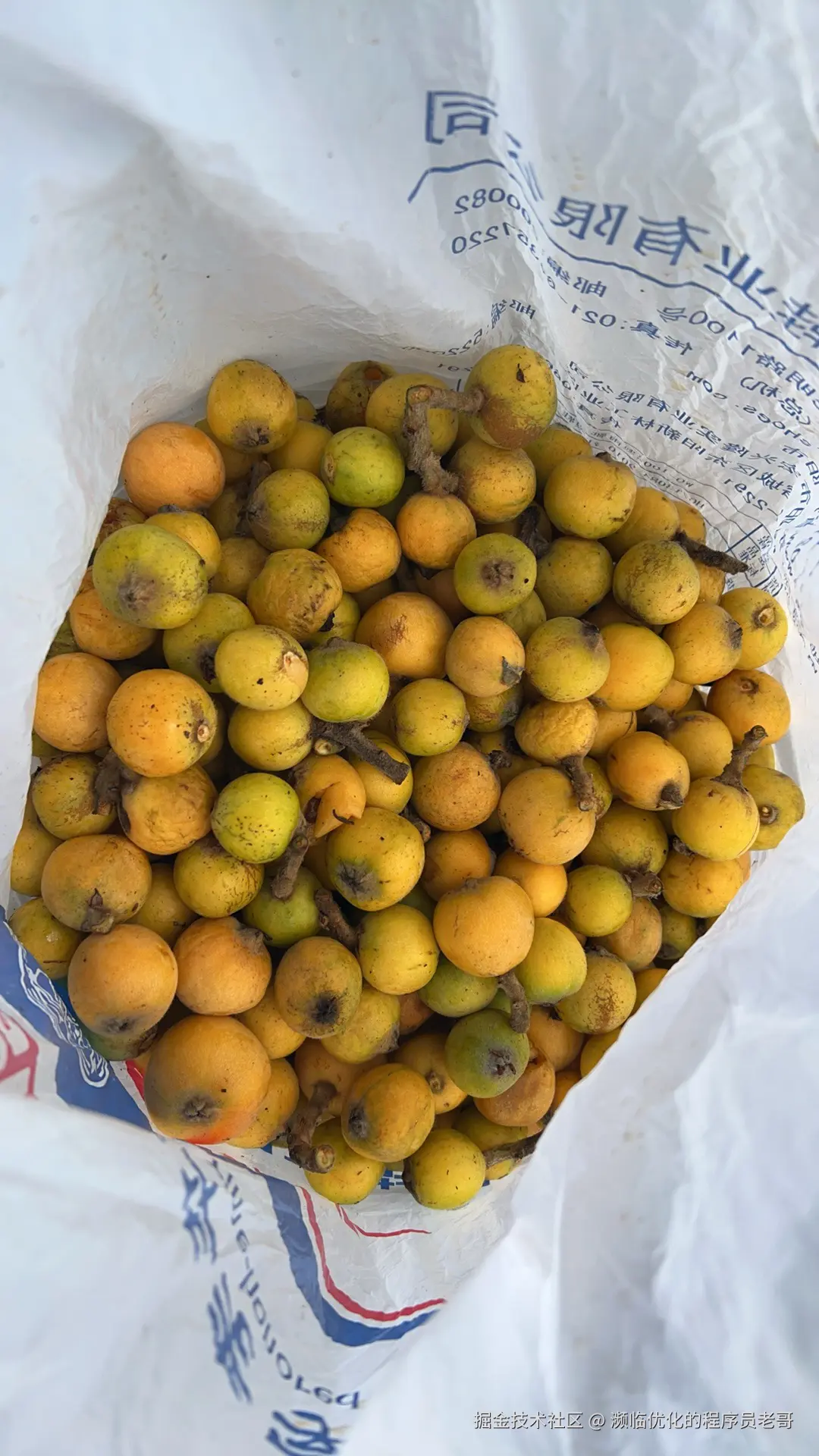 濒临优化的程序员老哥于2025-05-06 10:30发布的图片