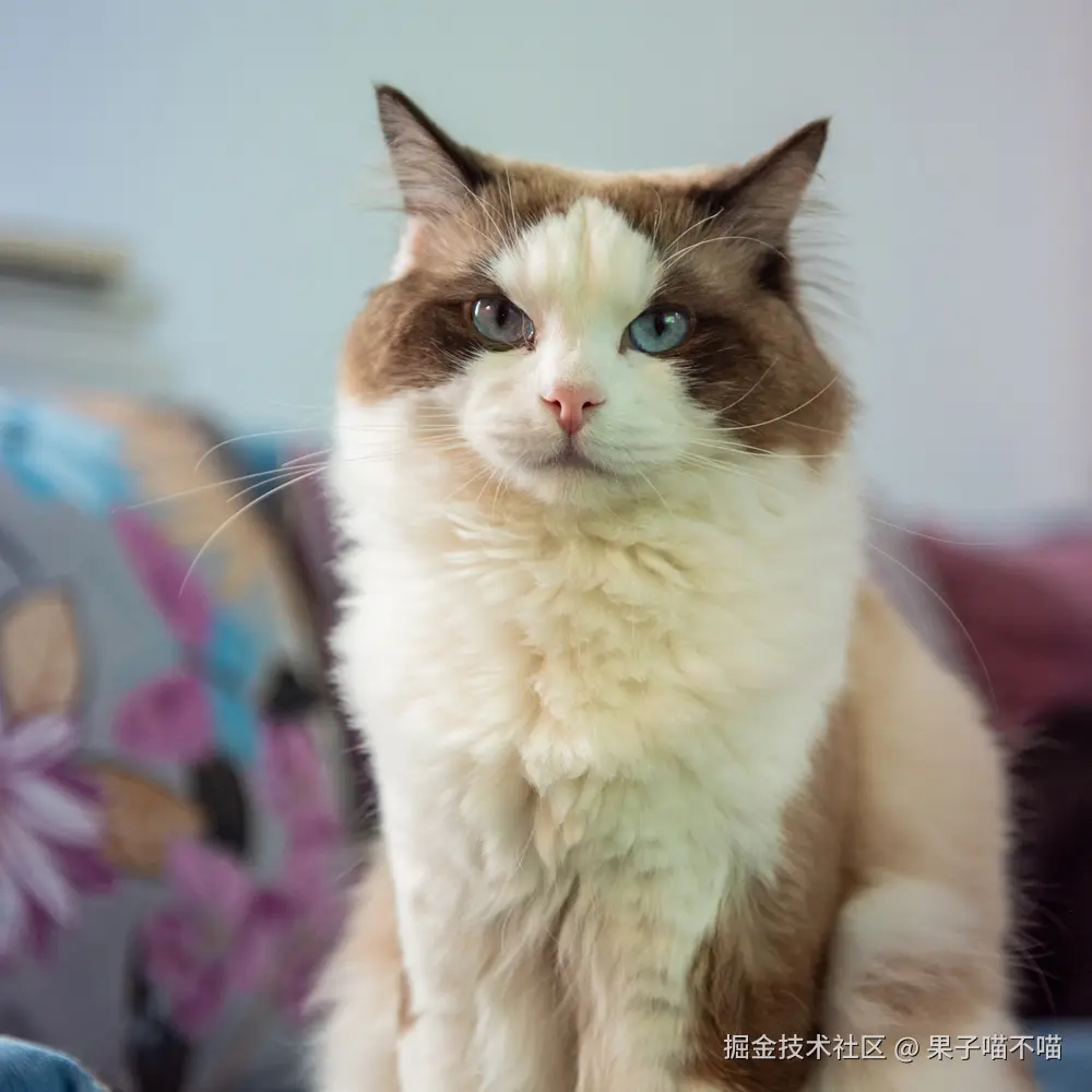 果子喵不喵于2025-04-15 11:34发布的图片