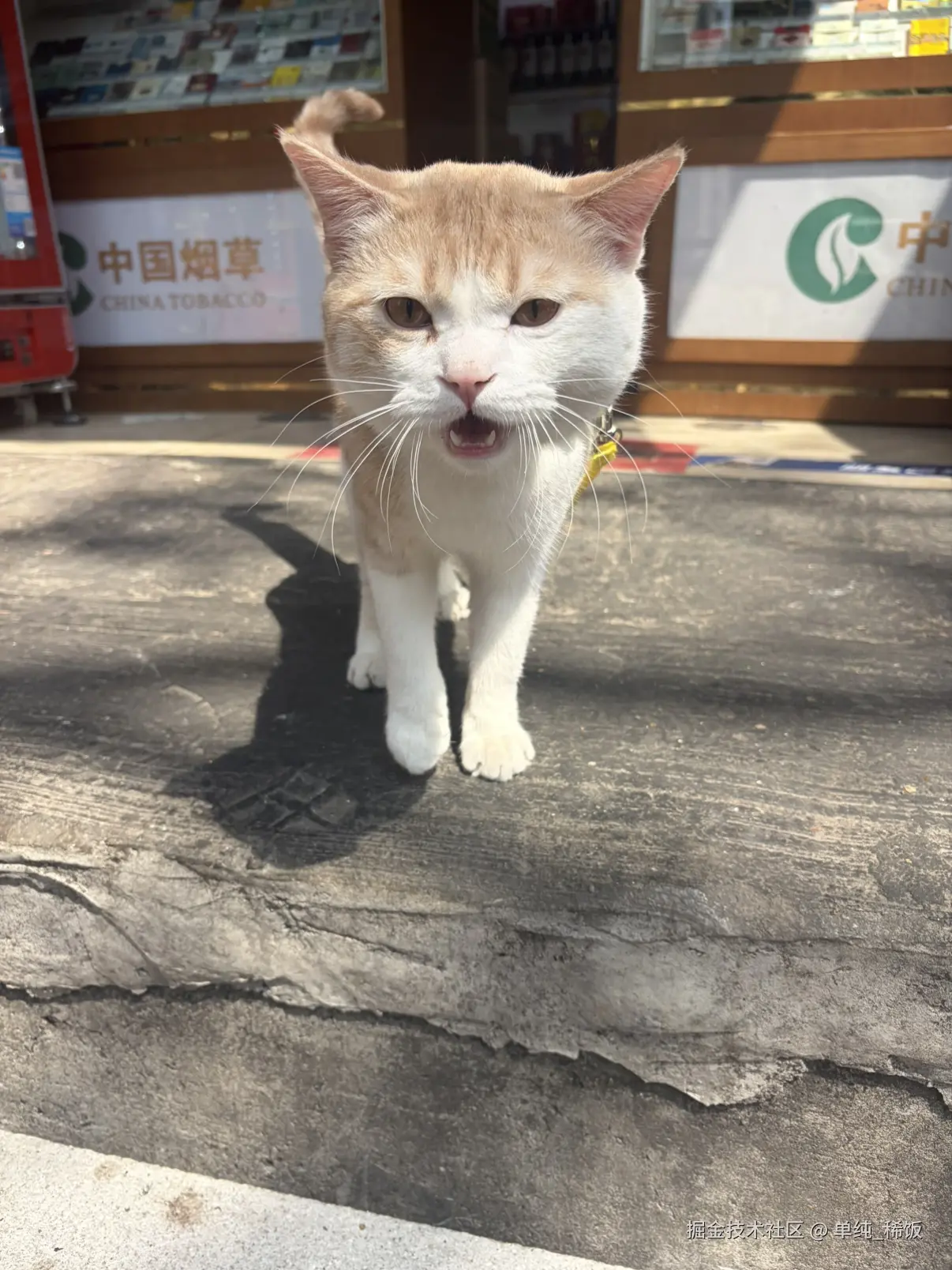 单纯_稀饭于2026-03-24 12:28发布的图片