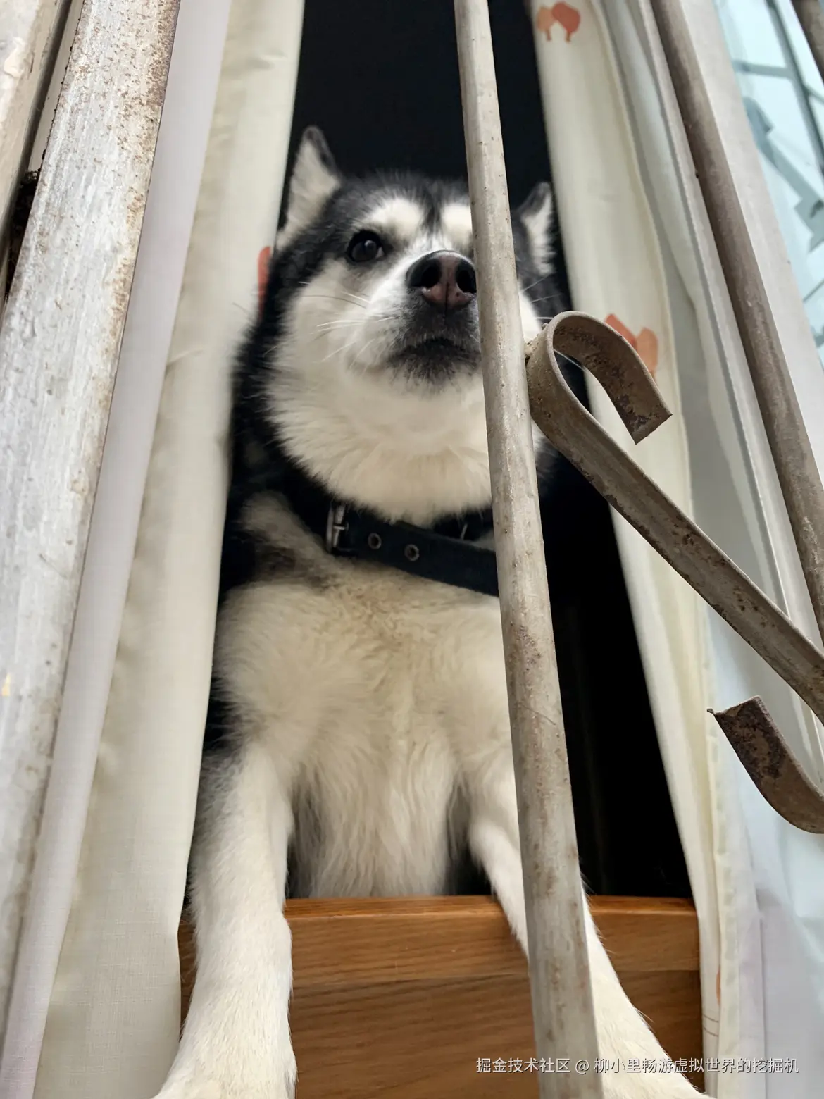 柳小里畅游虚拟世界的挖掘机于2025-11-27 02:58发布的图片