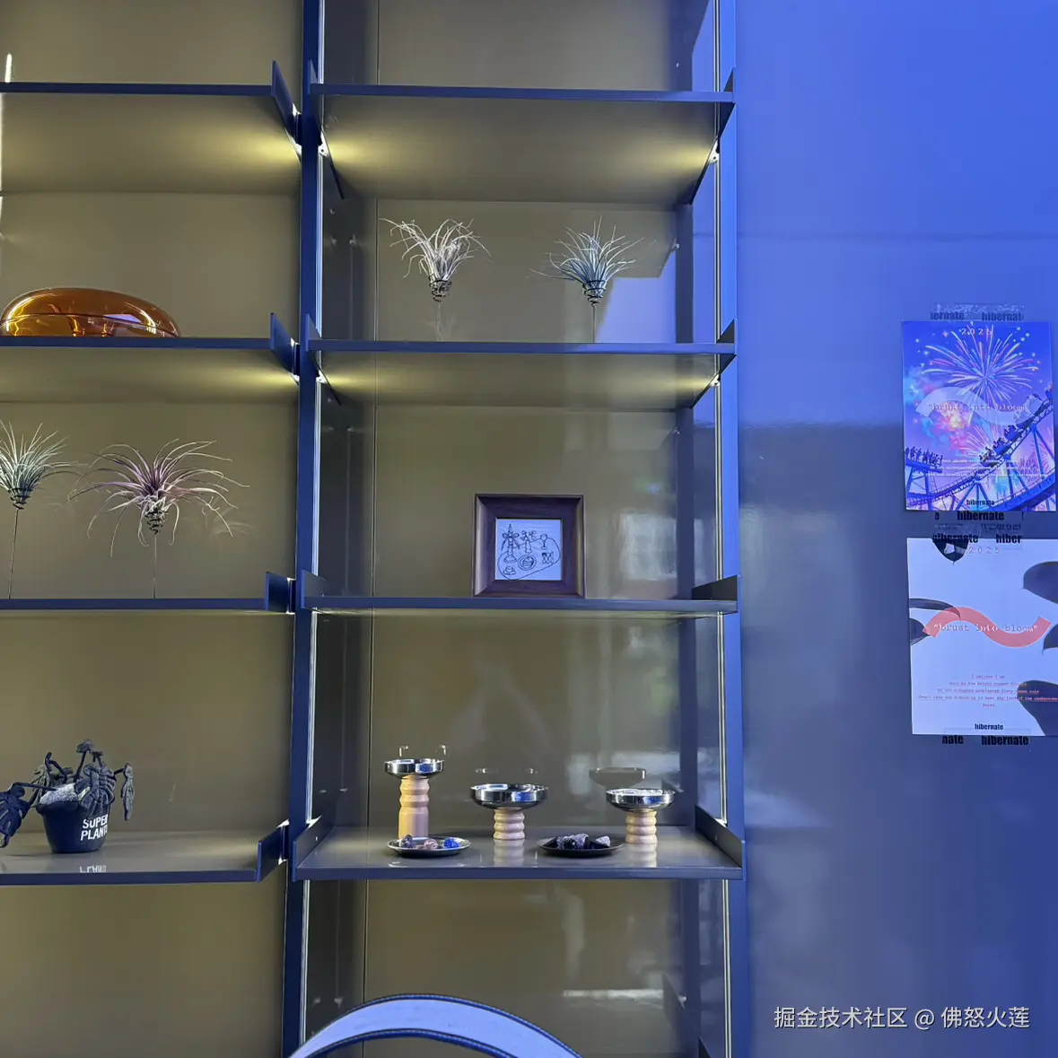 佛怒火莲于2025-05-14 17:11发布的图片