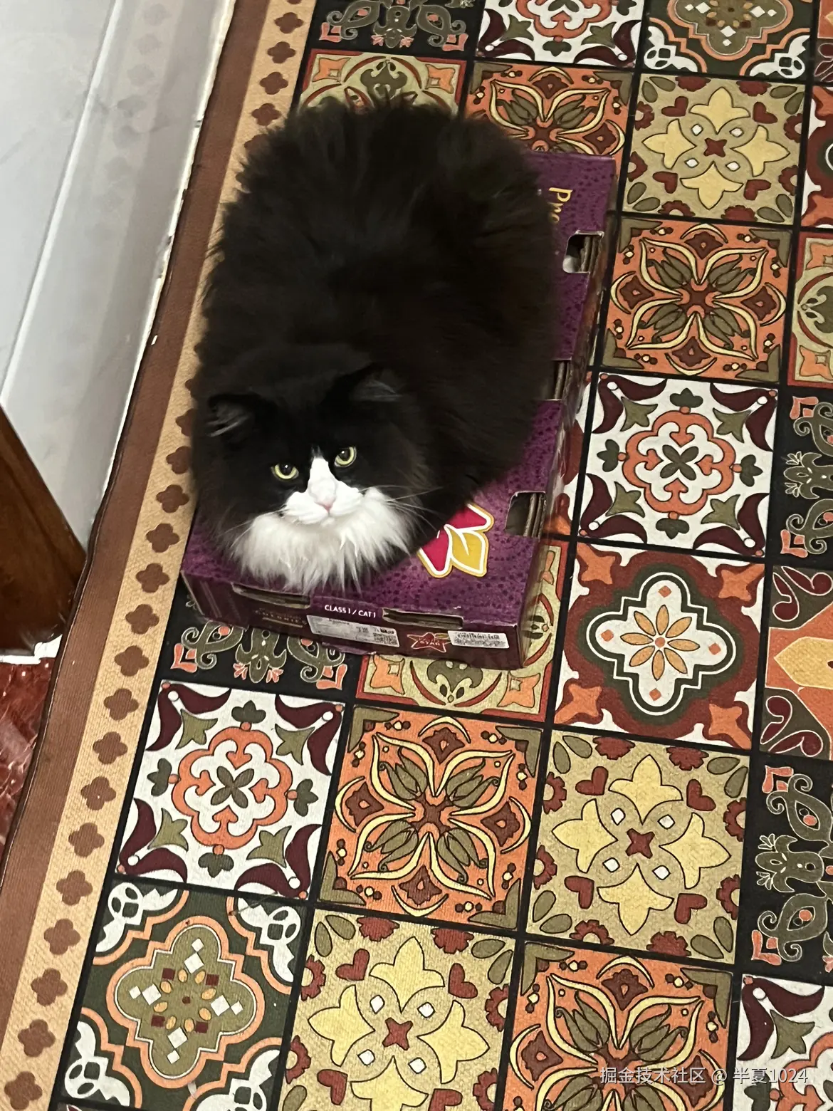 半夏1024于2025-01-08 11:44发布的图片