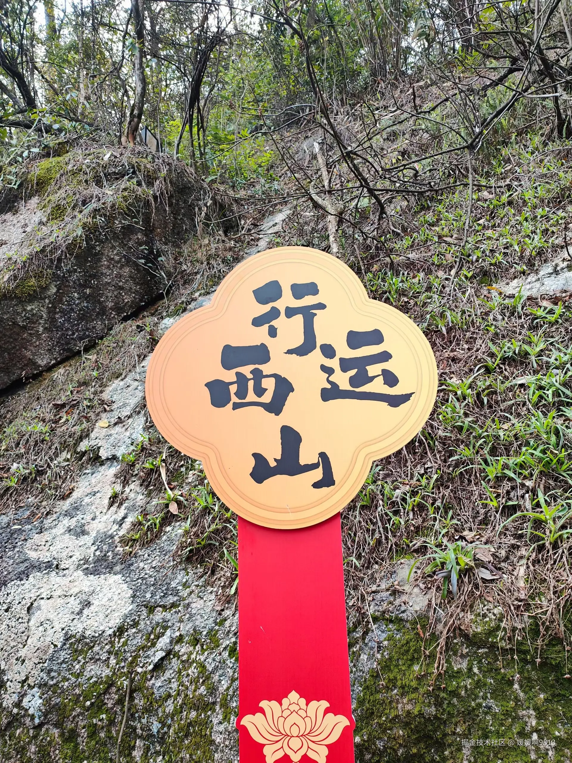 媛媛啊9813于2026-03-07 22:05发布的图片