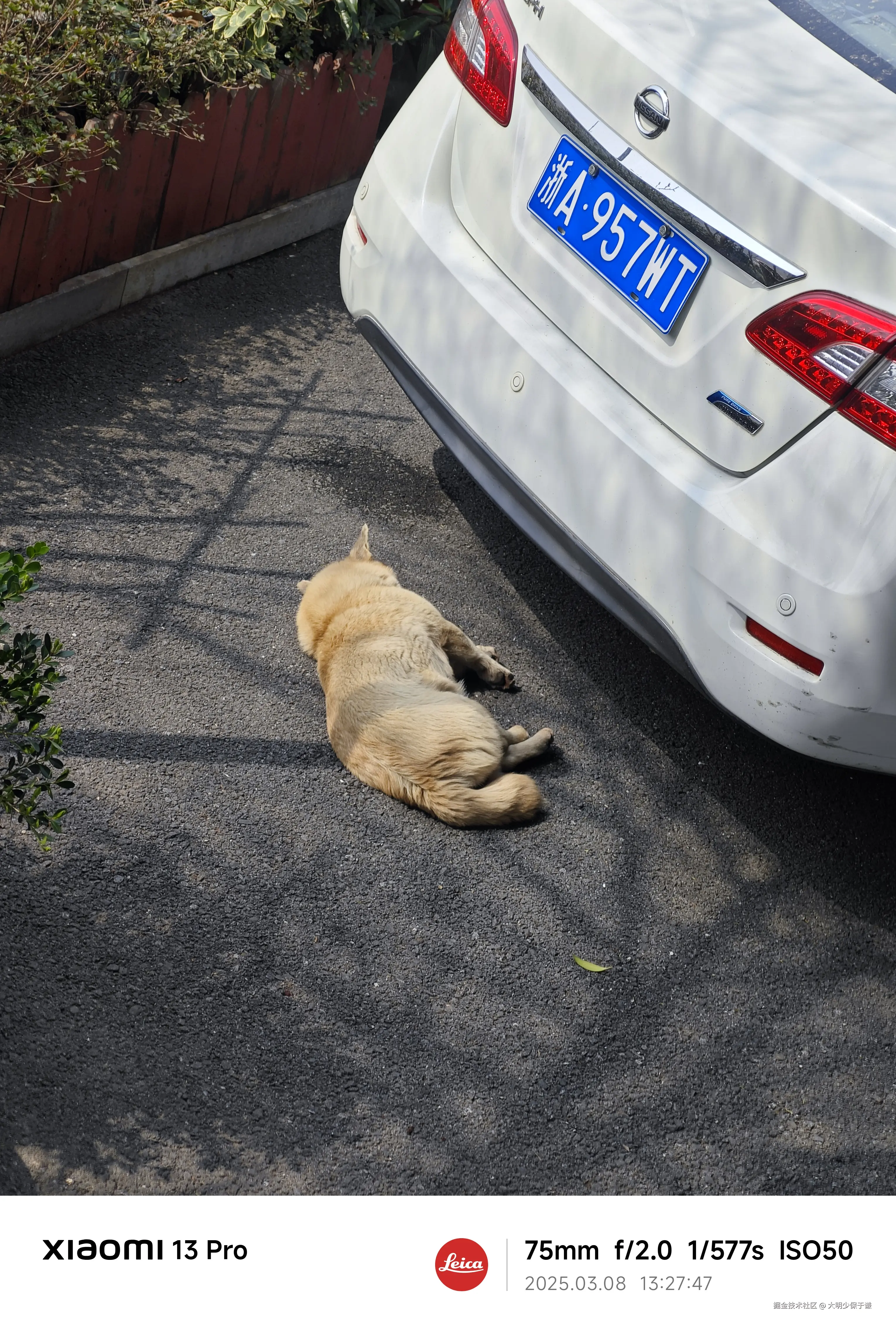 大明少保于谦于2025-03-10 15:40发布的图片