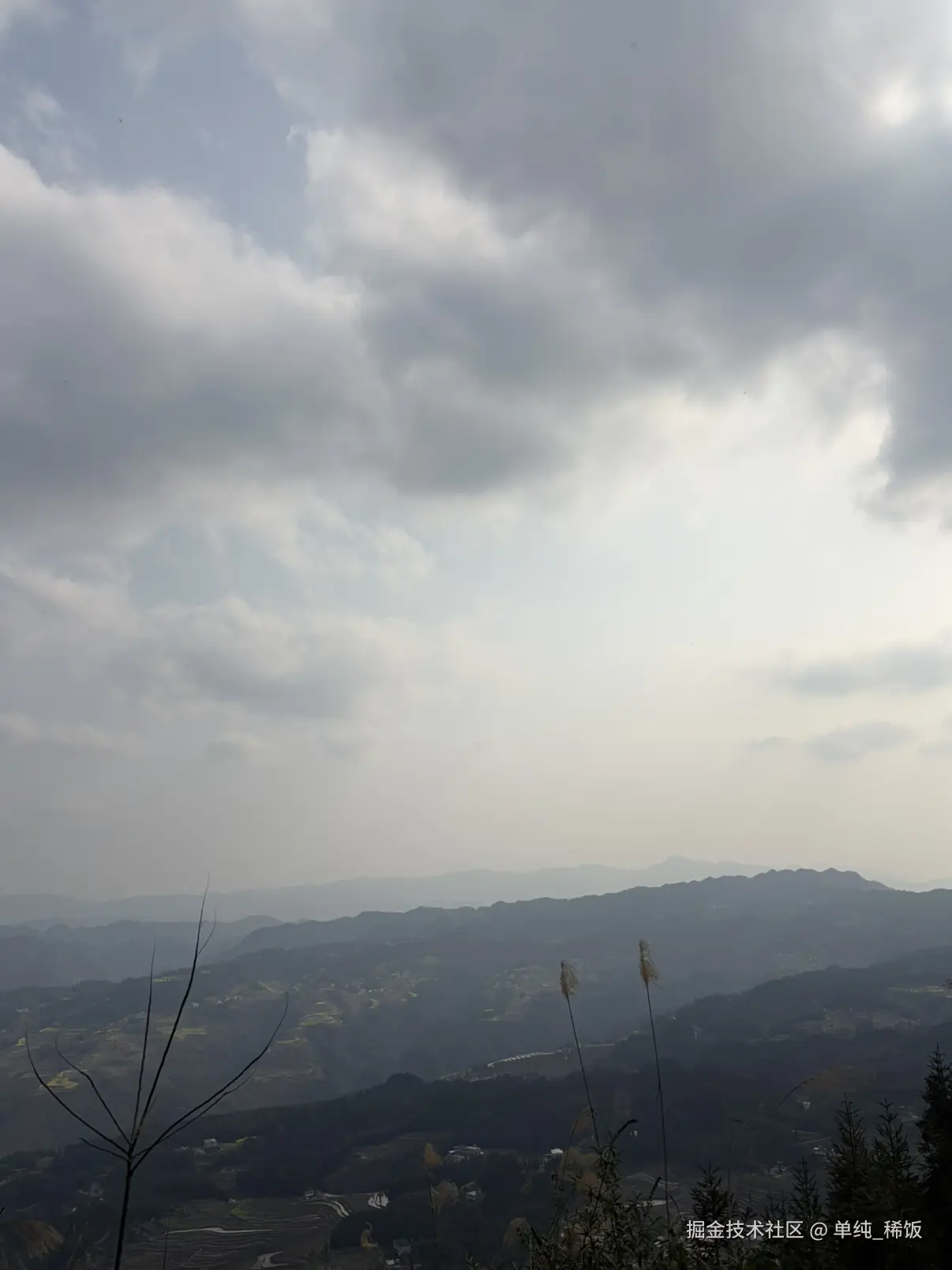 单纯_稀饭于2026-02-27 16:19发布的图片