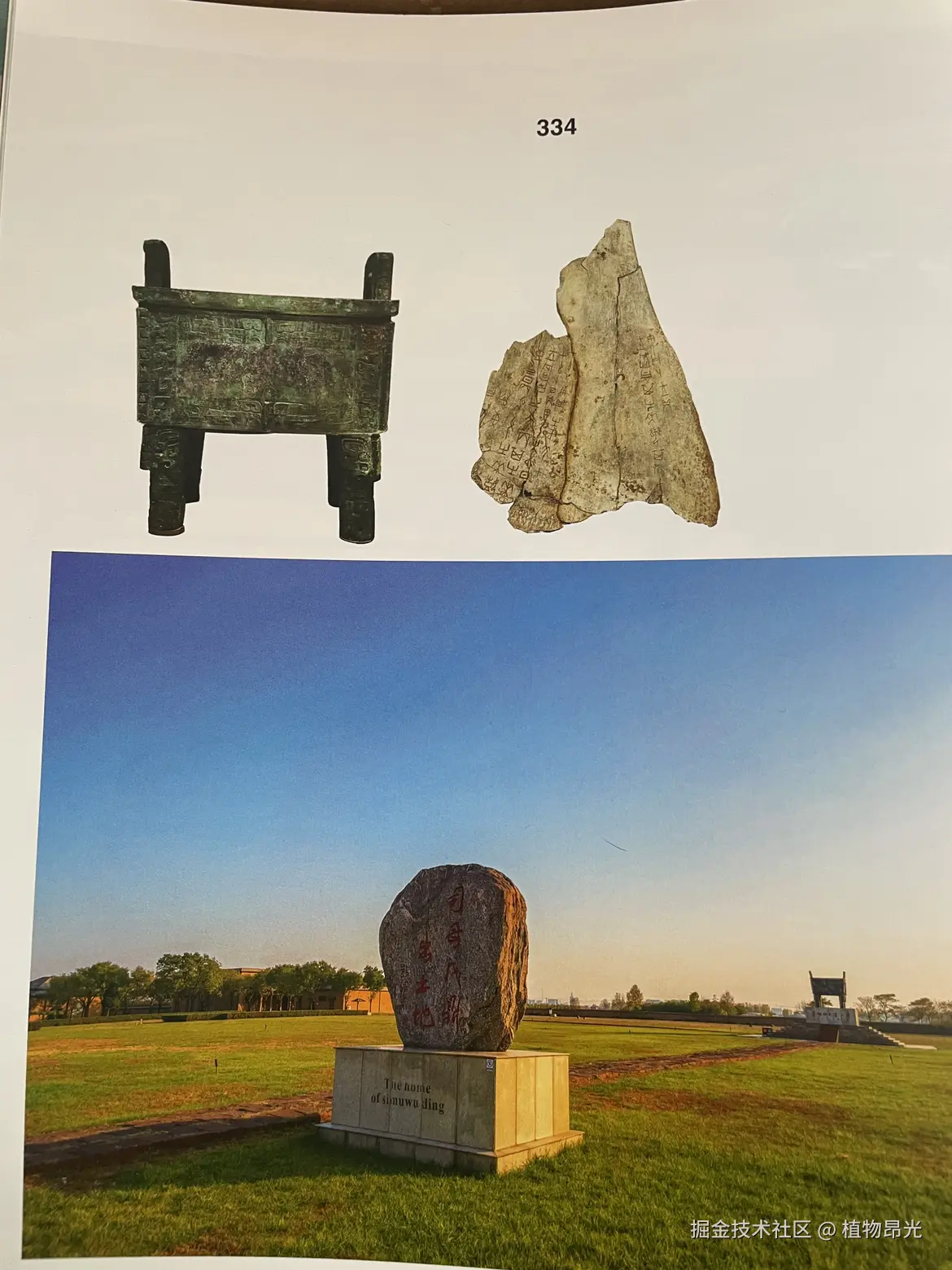 植物昂光于2026-04-11 11:48发布的图片