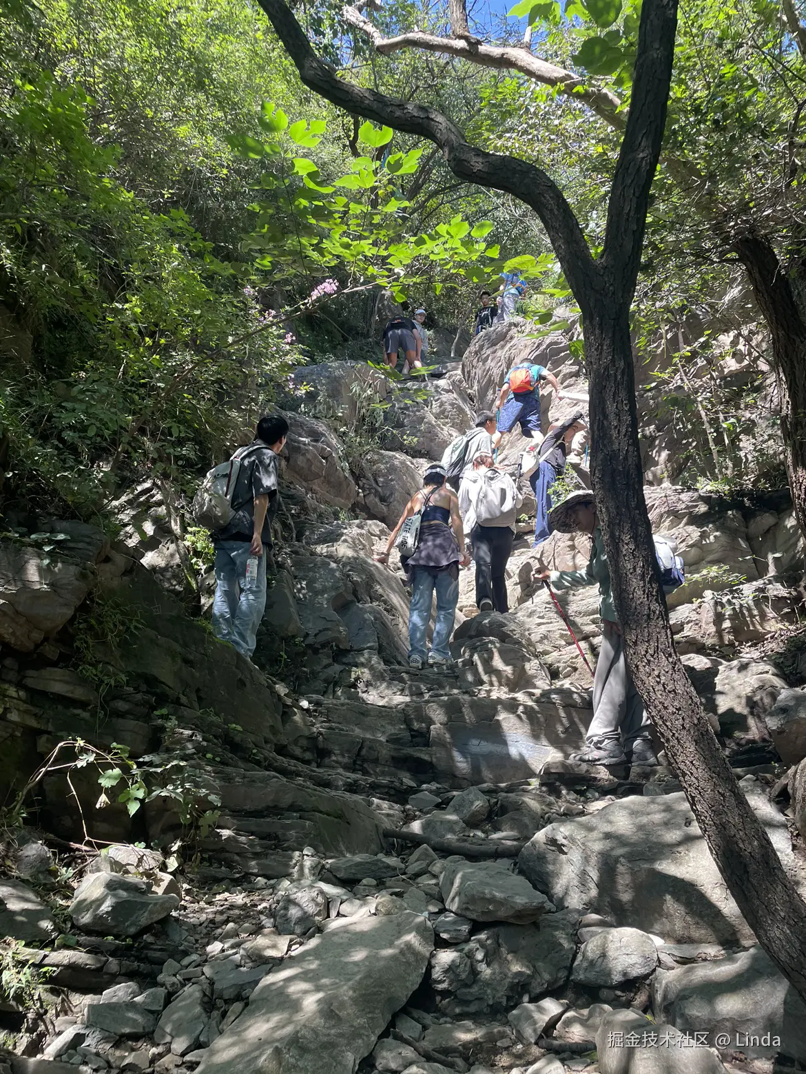 Linda于2025-09-08 09:51发布的图片