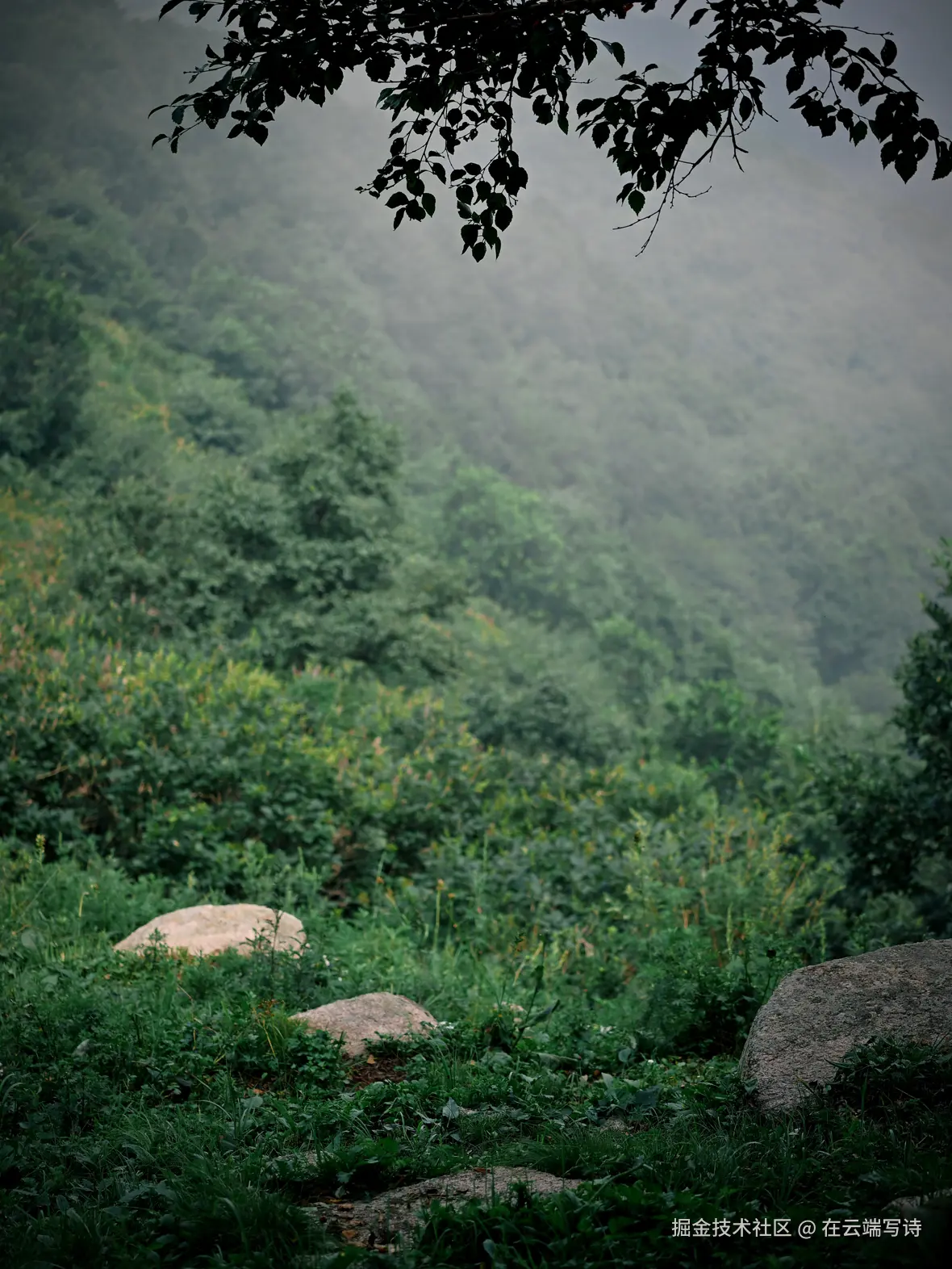 在云端写诗于2025-08-04 02:49发布的图片