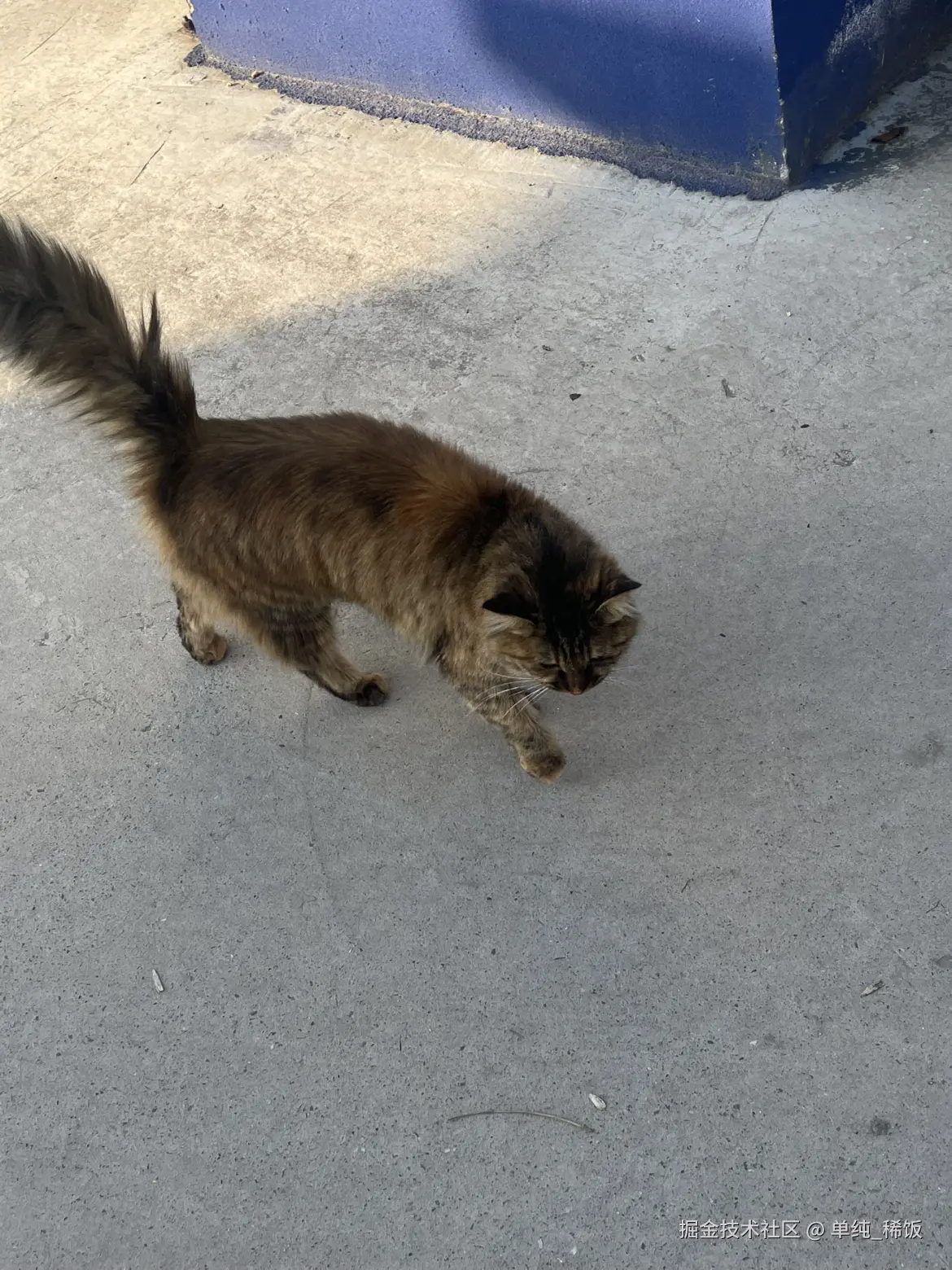 单纯_稀饭于2025-11-21 09:31发布的图片