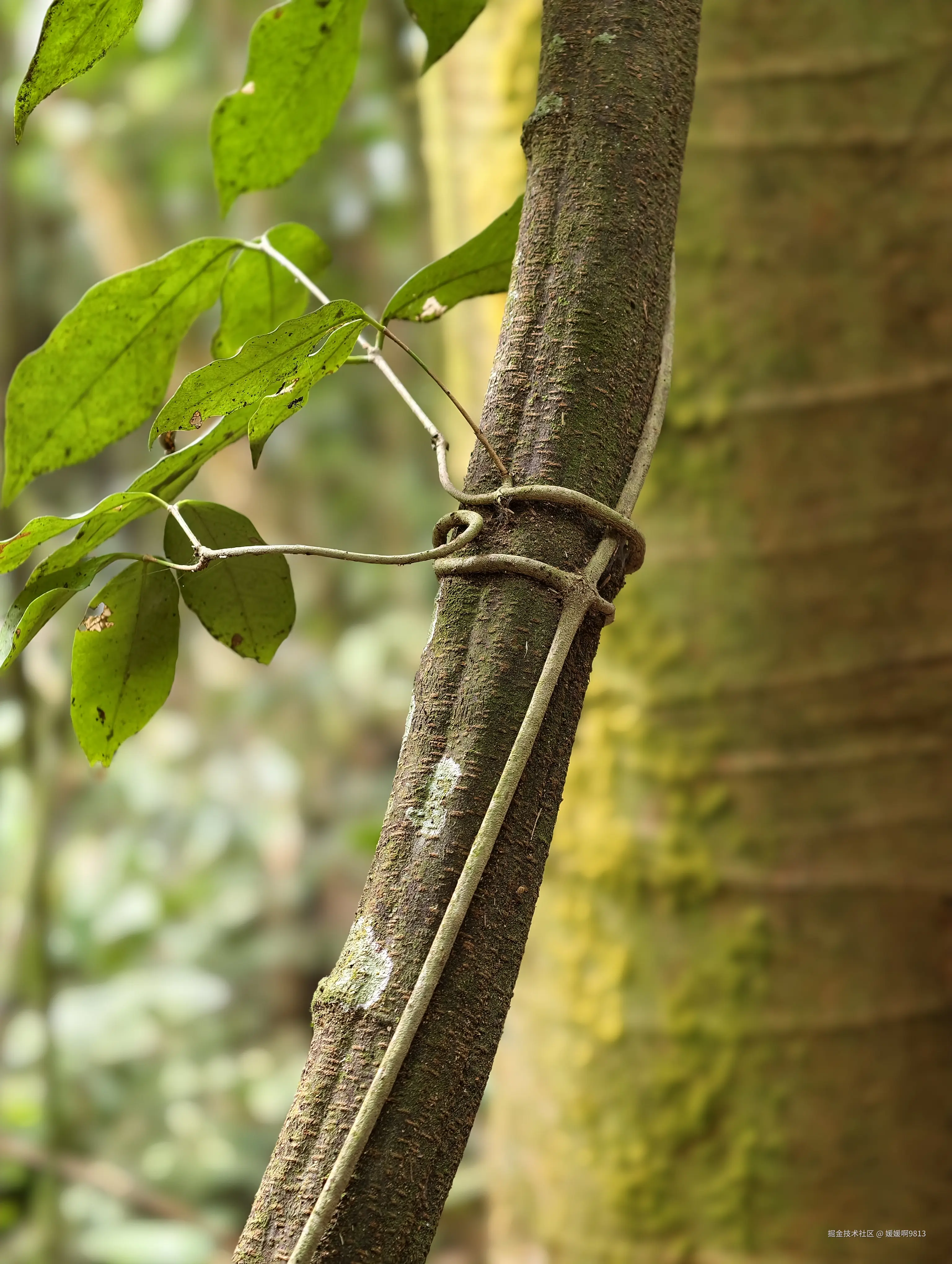 媛媛啊9813于2026-03-22 21:52发布的图片