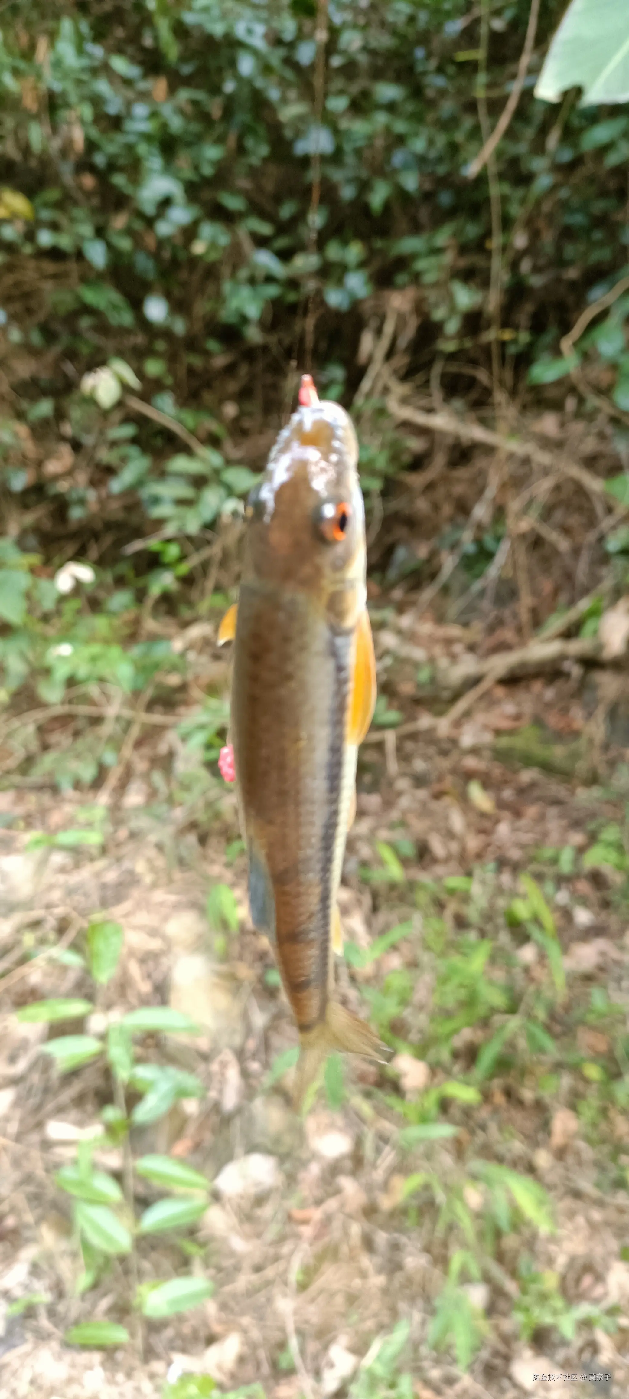 莫奈子于2025-03-27 18:39发布的图片