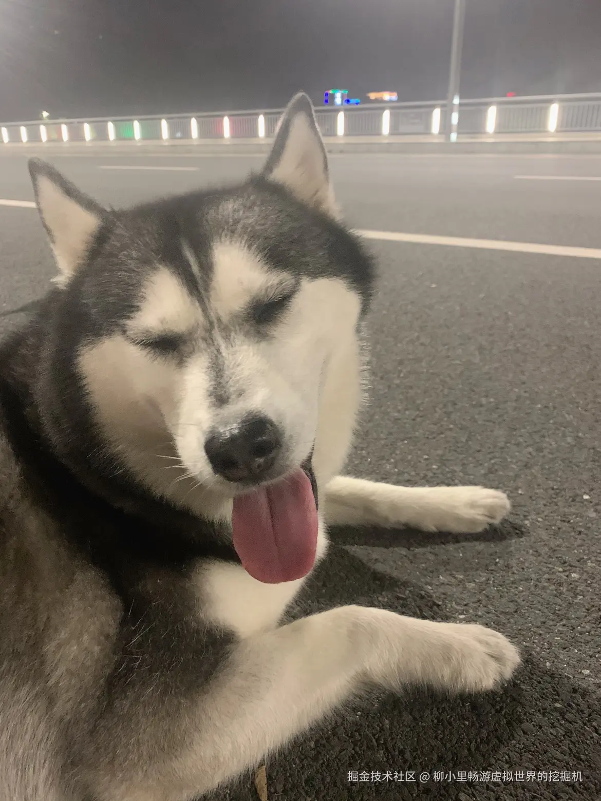 柳小里畅游虚拟世界的挖掘机于2025-11-27 02:58发布的图片