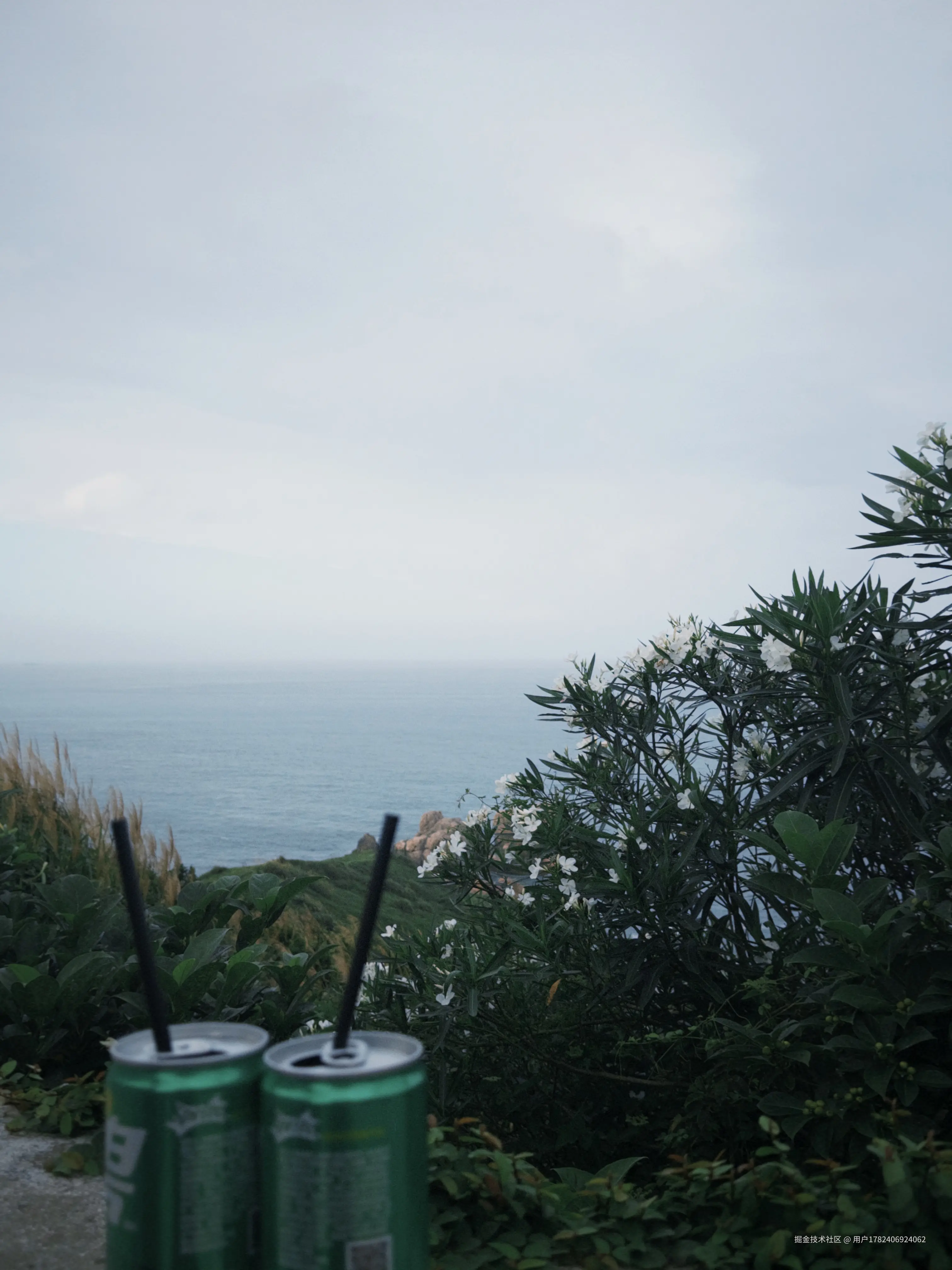 用户1782406924062于2025-07-21 15:27发布的图片