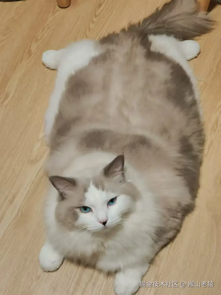 搬山老猿于2024-09-14 11:46发布的图片