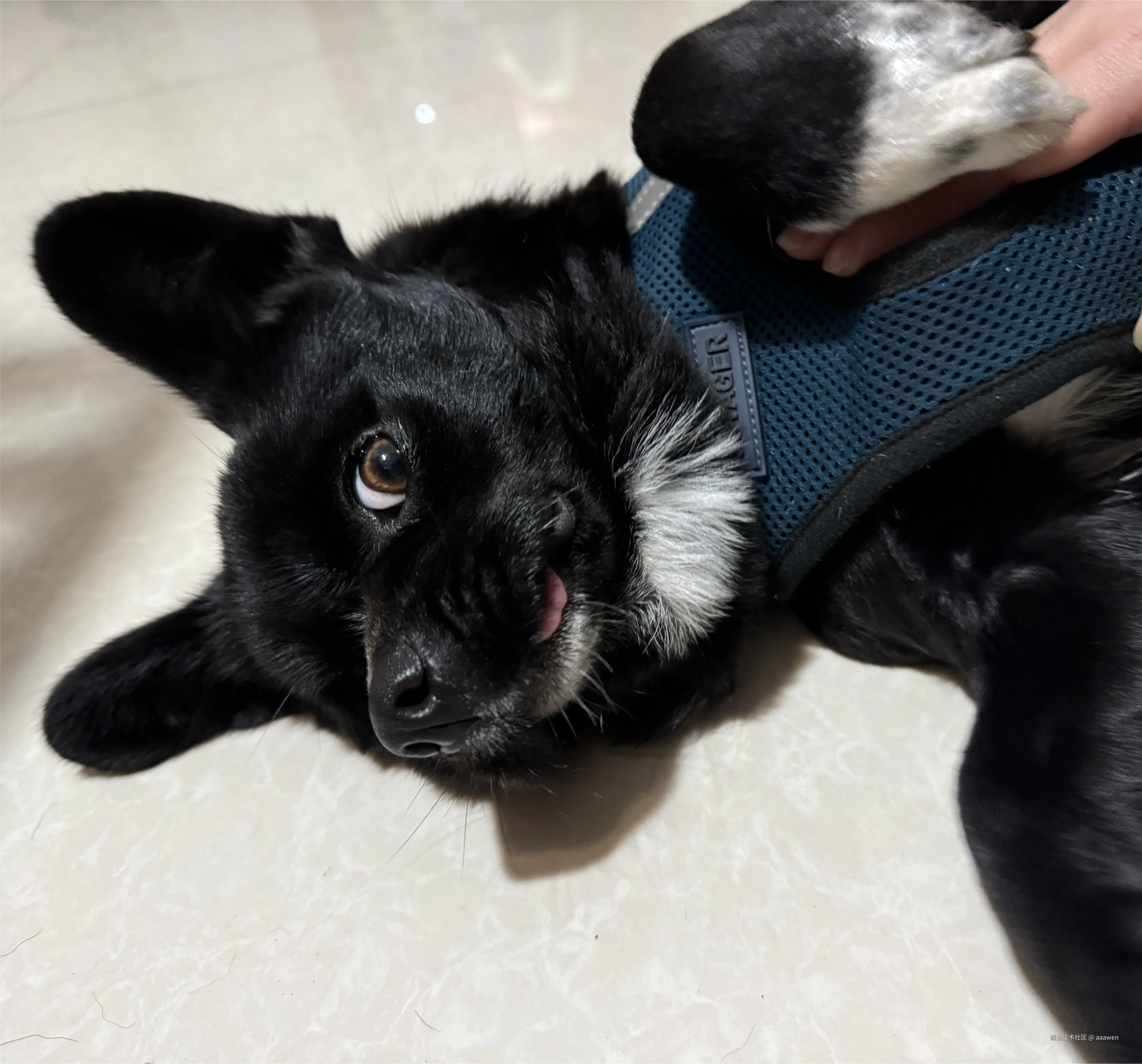 aaawen于2025-02-19 14:10发布的图片