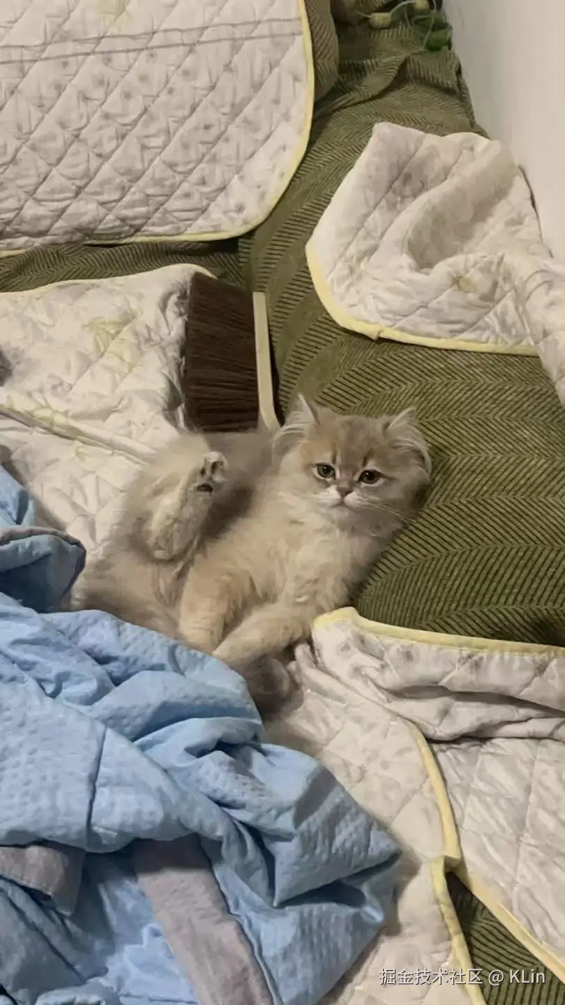 KLin于2026-04-03 14:25发布的图片