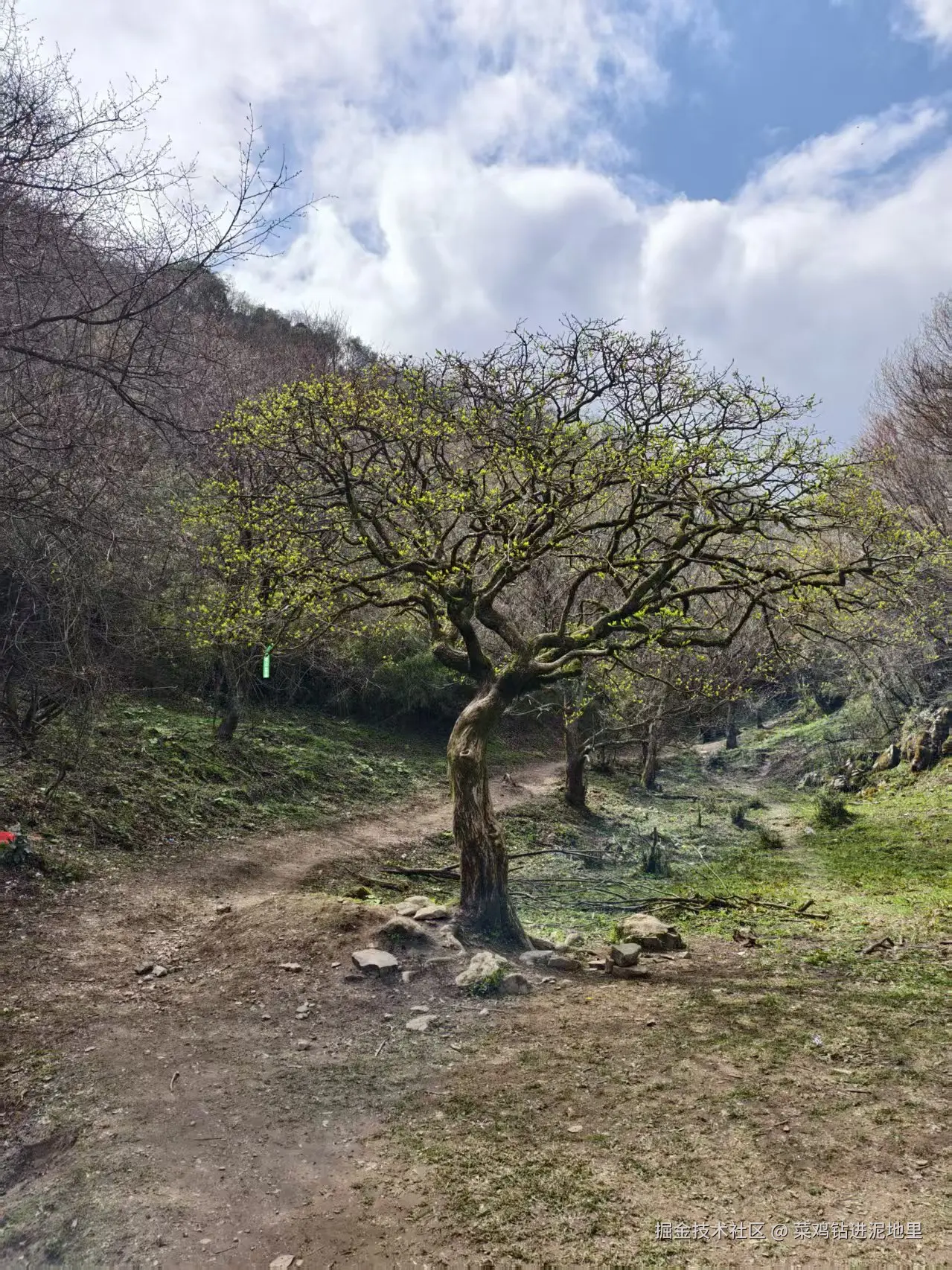菜鸡钻进泥地里于2026-04-07 09:58发布的图片