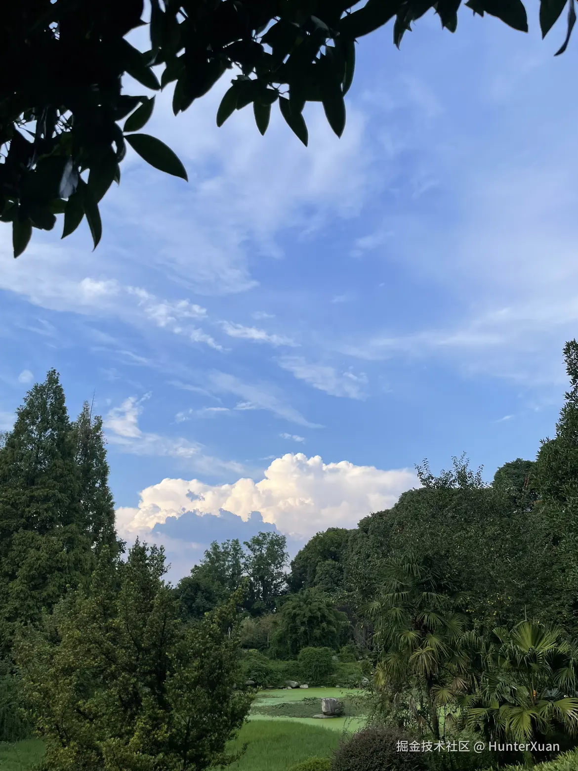 HunterXuan于2024-09-04 12:30发布的图片