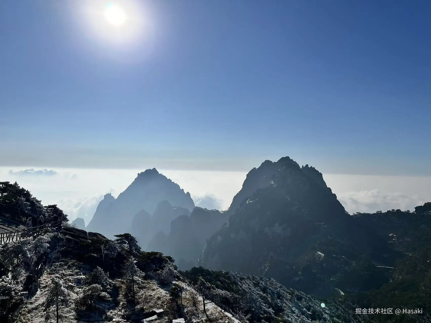 Hasaki于2024-12-16 10:21发布的图片