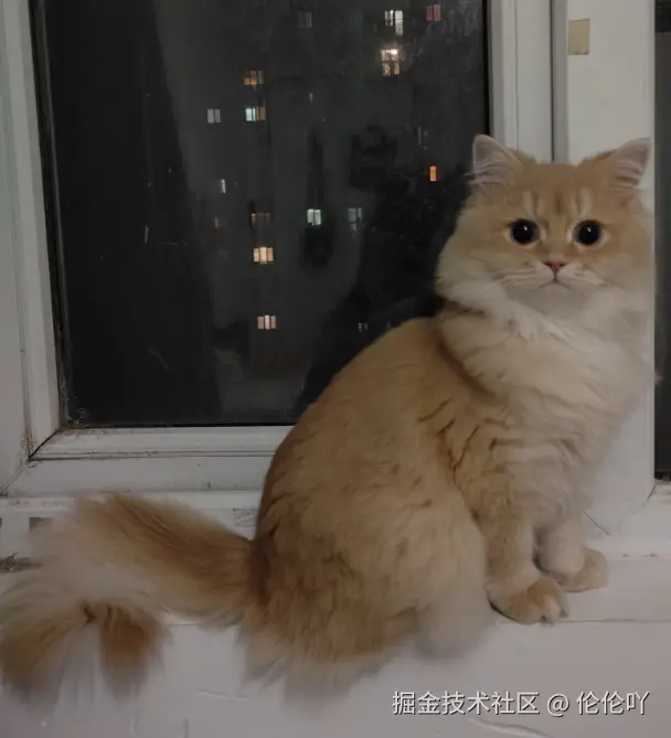 伦伦吖于2024-11-28 10:04发布的图片