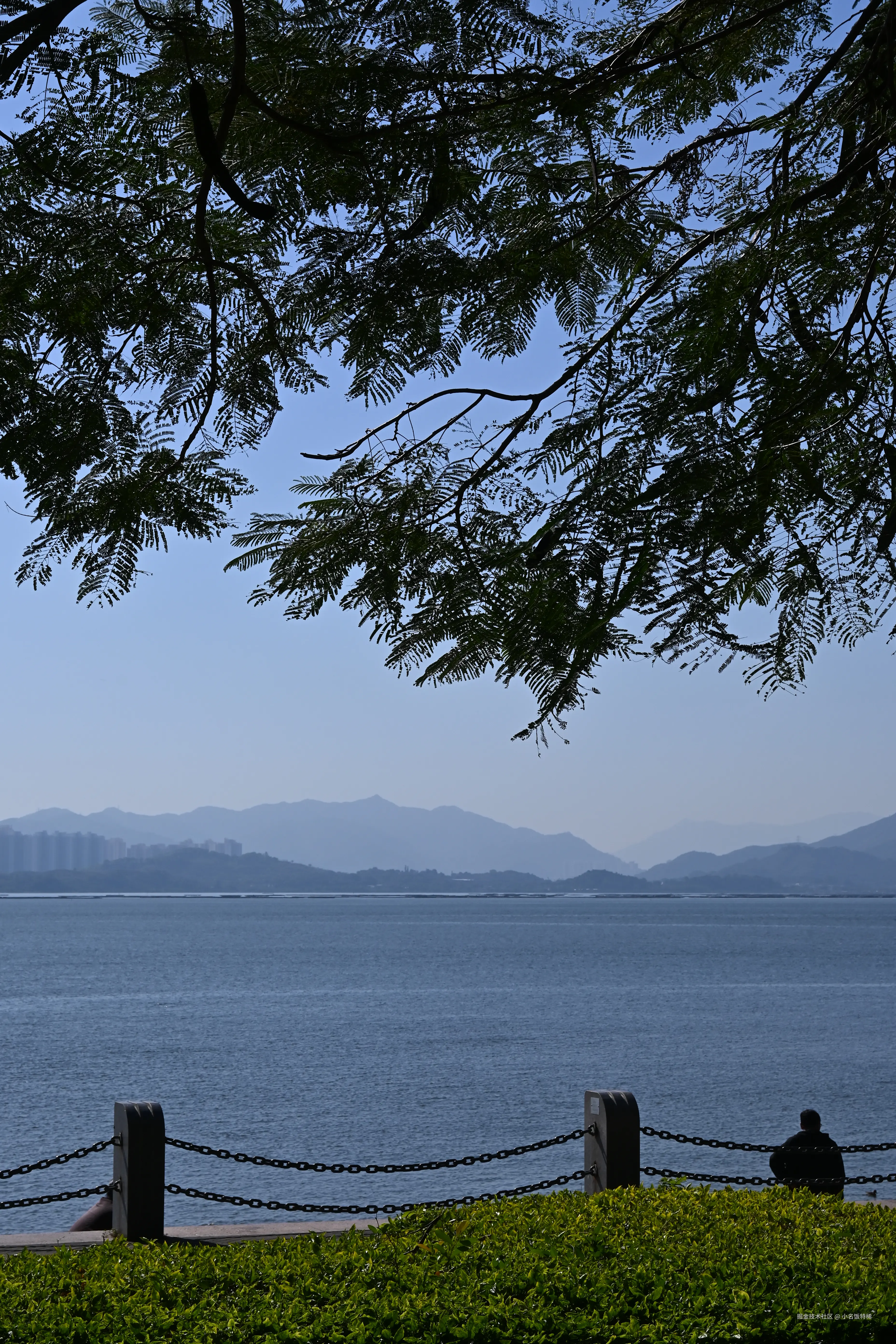 小名饭特稀于2025-11-24 09:42发布的图片