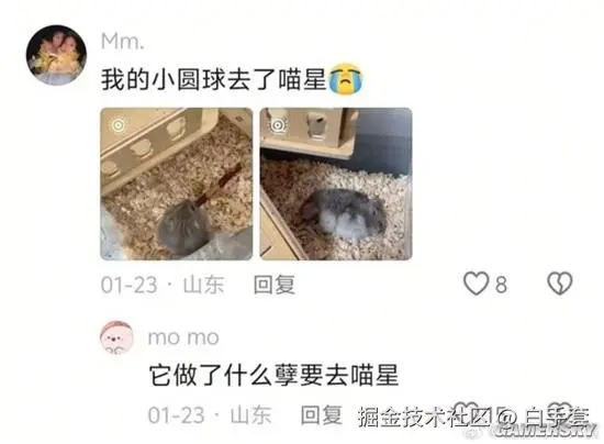 白手套于2026-02-06 08:35发布的图片