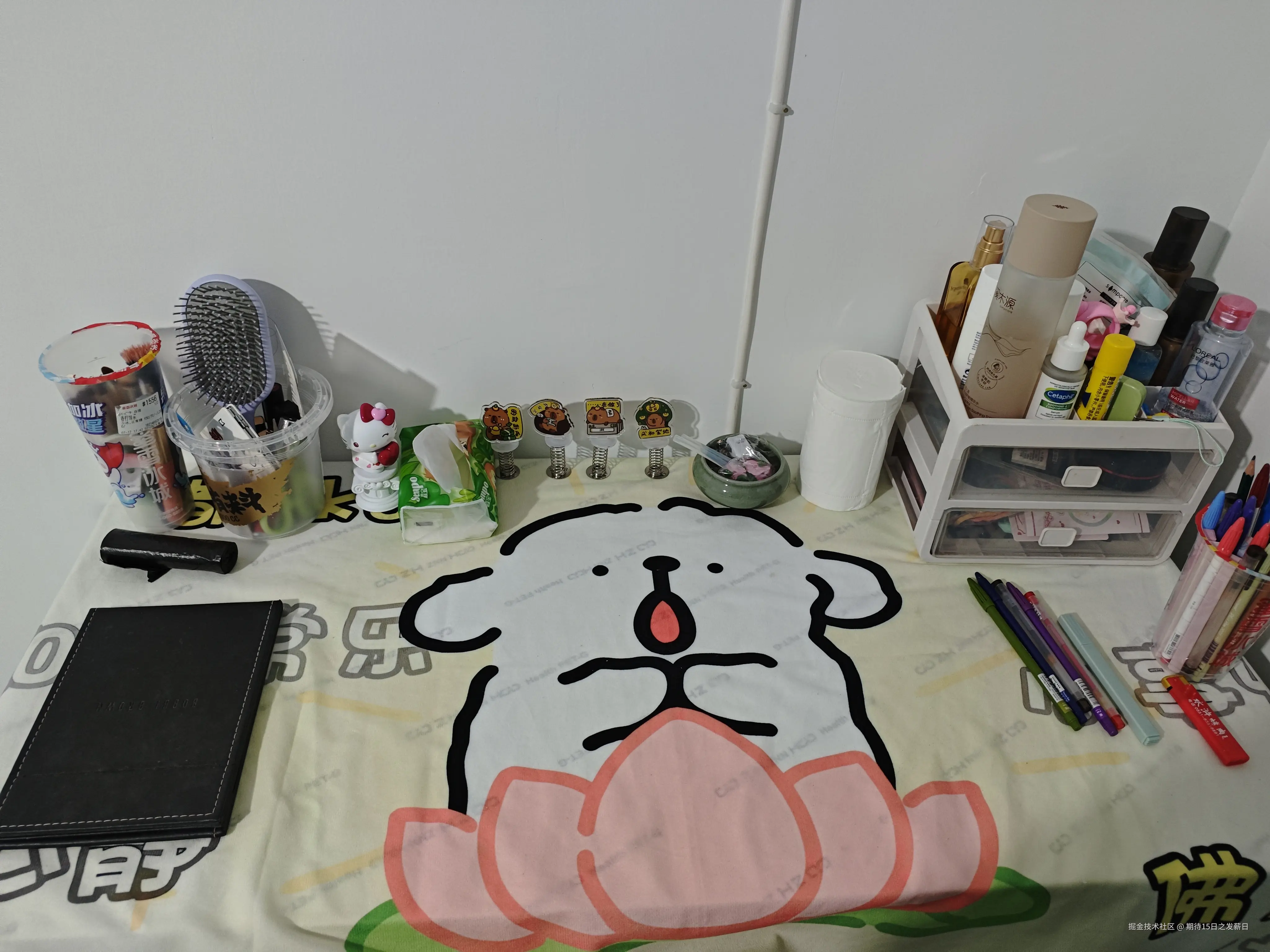 期待15日之发薪日于2024-07-23 09:49发布的图片