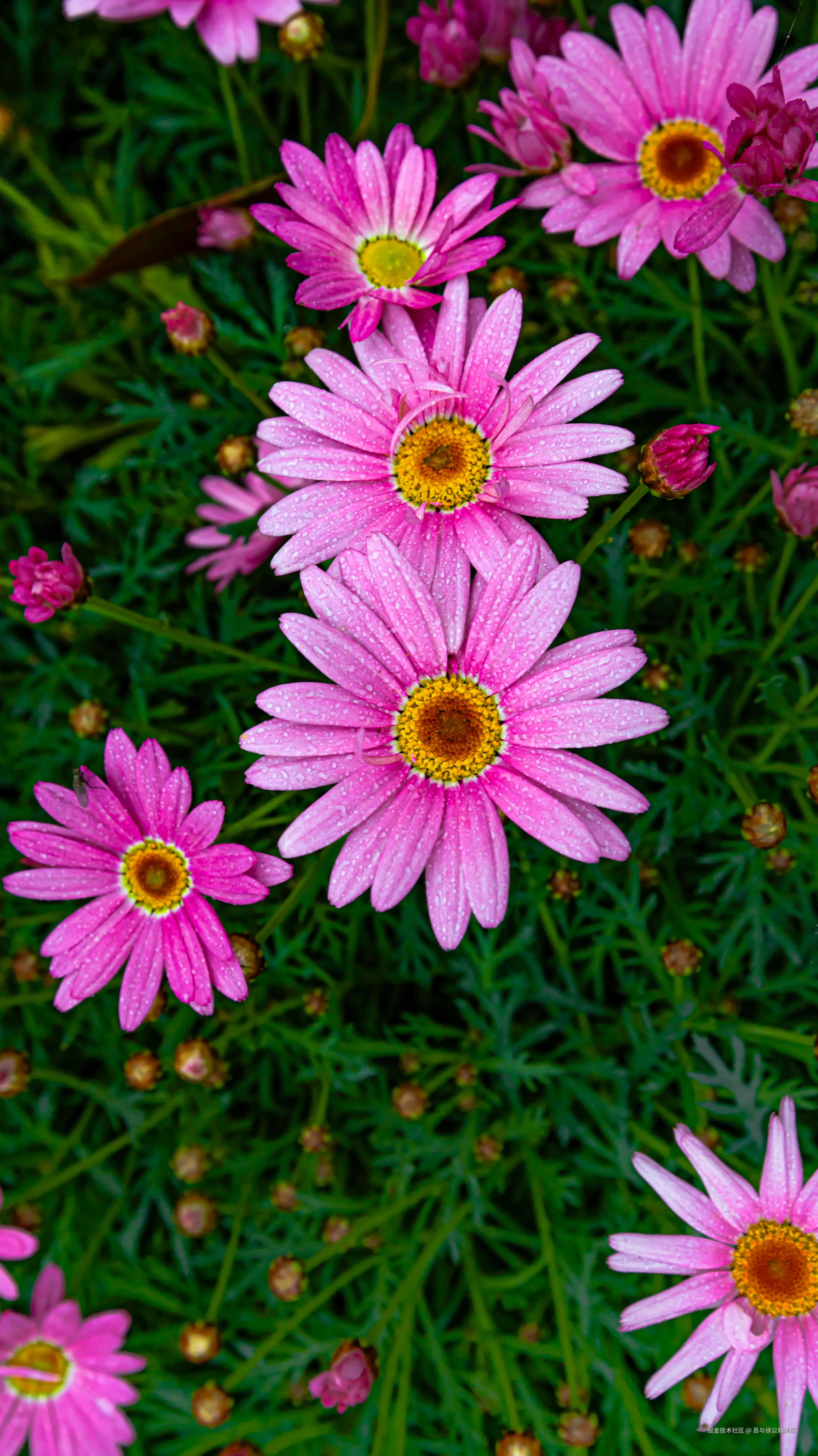 吾与徐公孰美耶于2026-03-25 15:48发布的图片