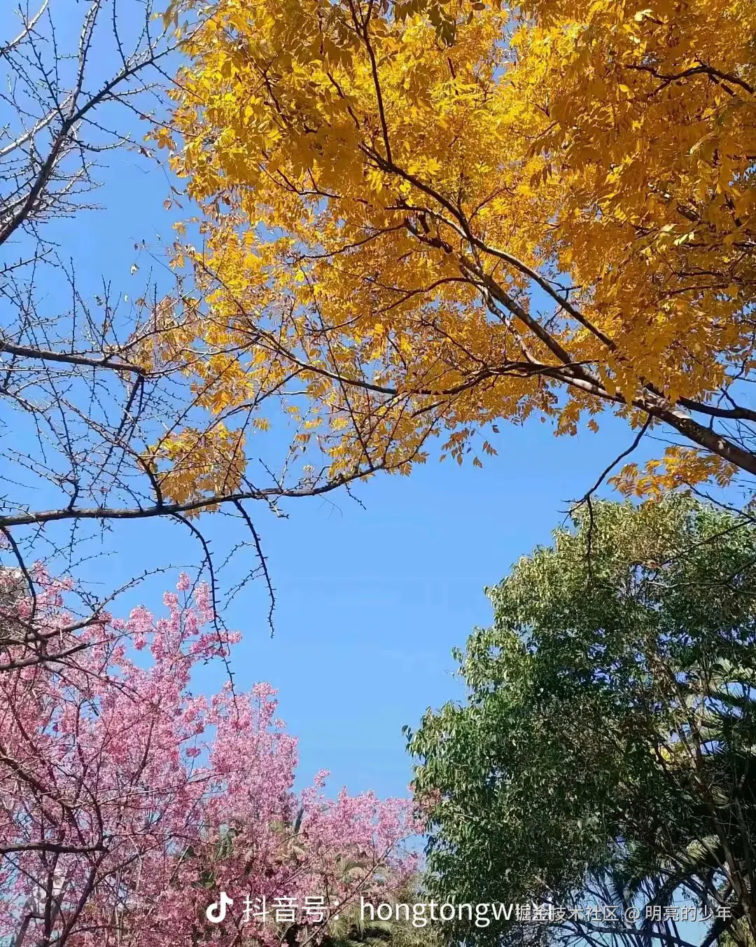 明亮的少年于2025-02-22 13:40发布的图片